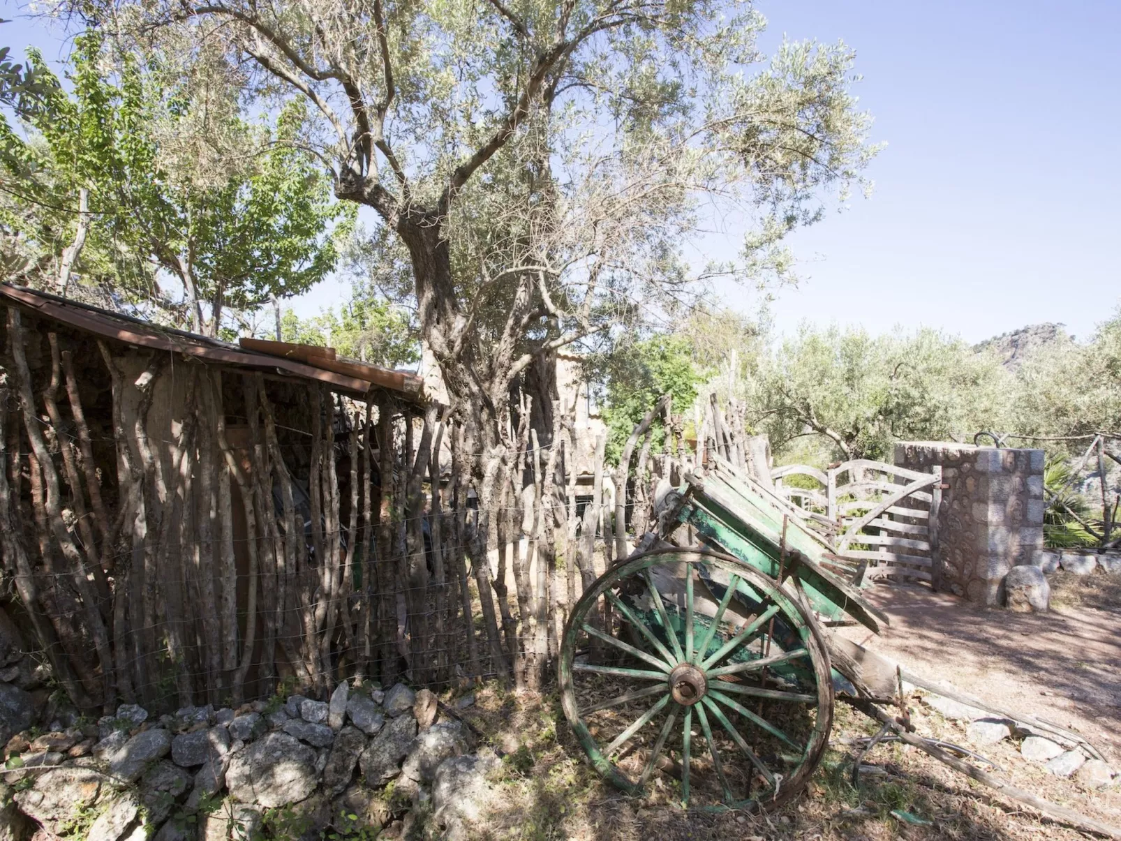 VILLA ES COCO SOLLER - Buiten