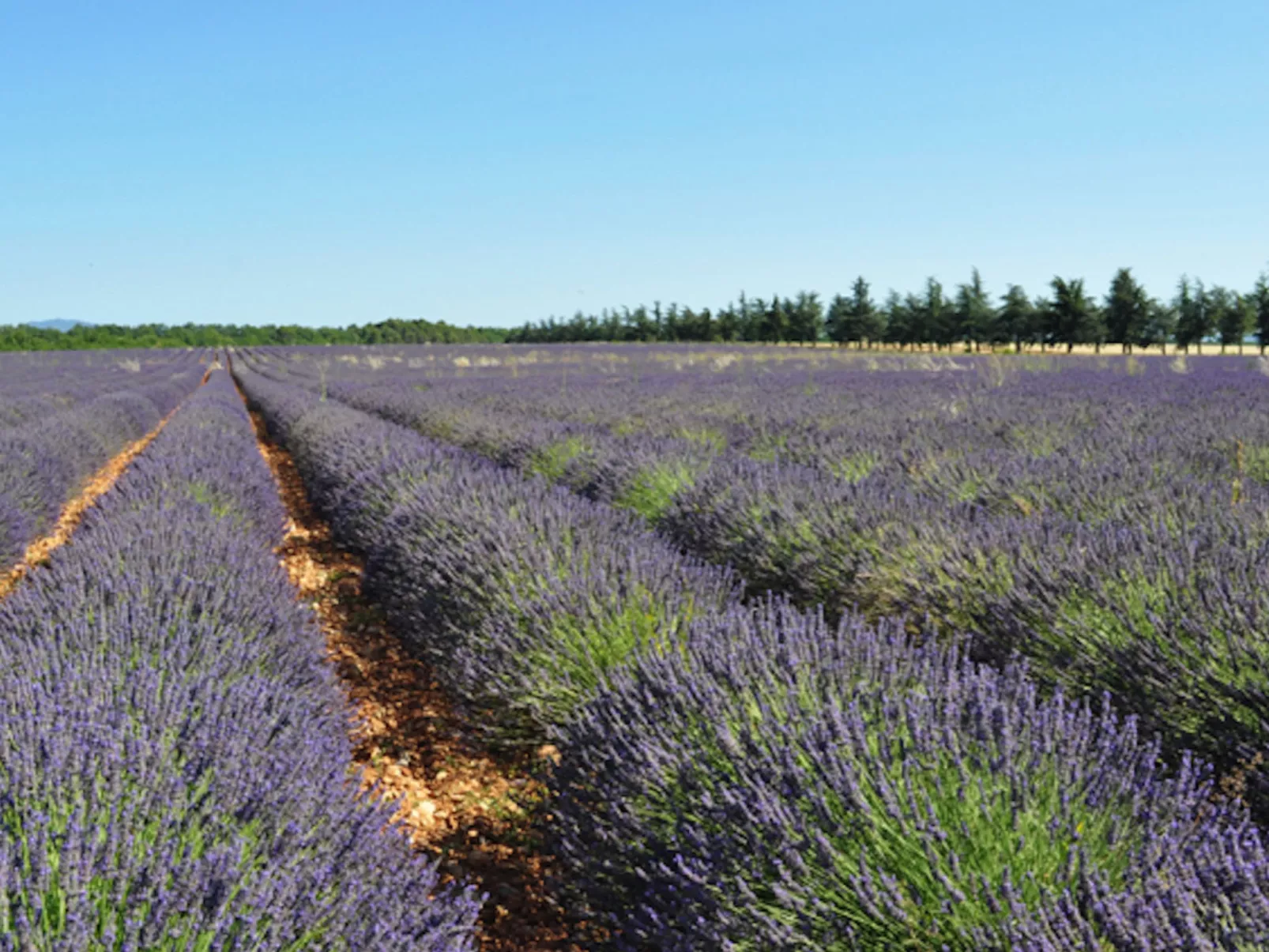 LA CADENIERE - Buiten