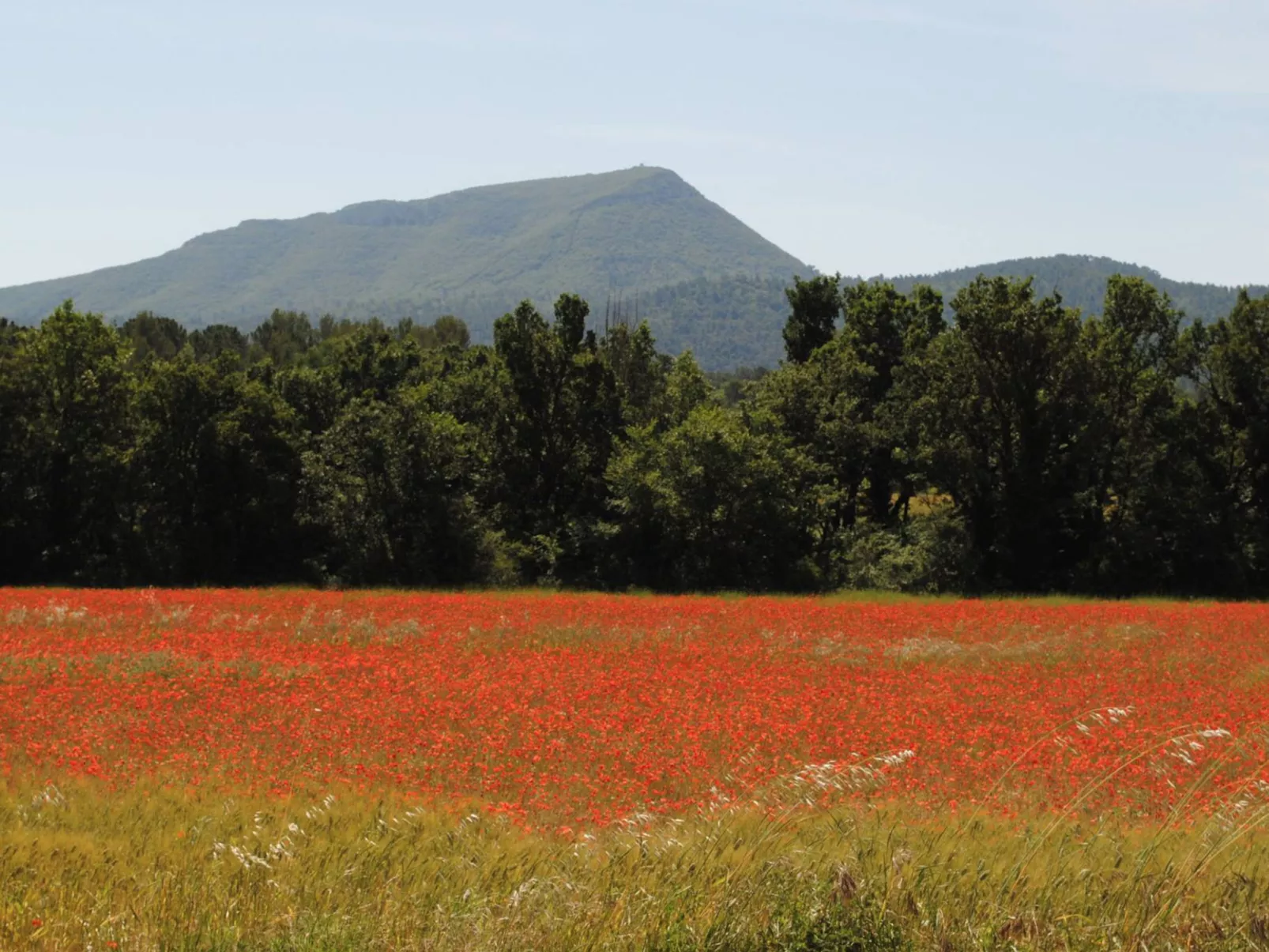 VILLA PINEDE - Buiten
