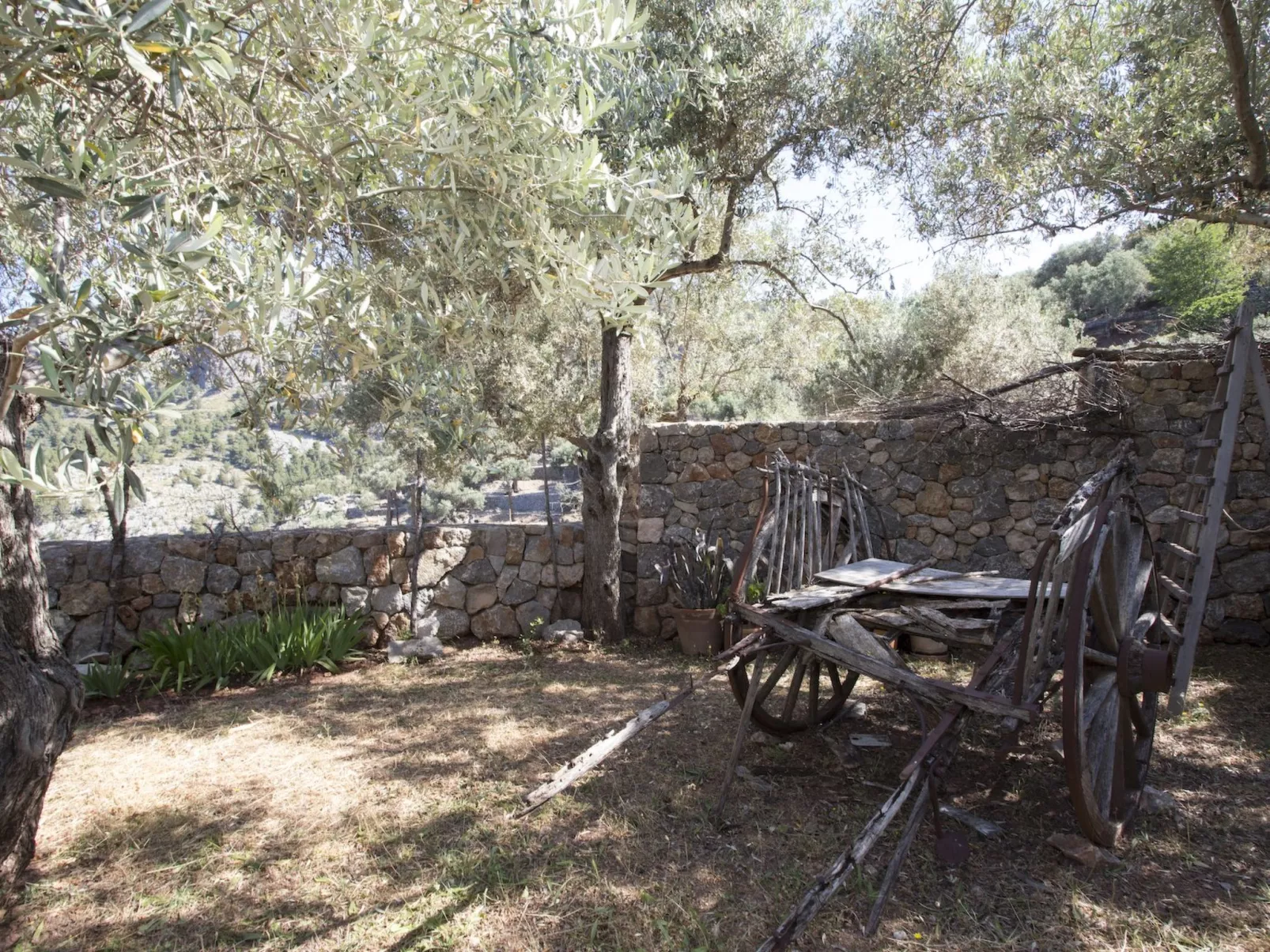 VILLA ES COCO SOLLER - Buiten