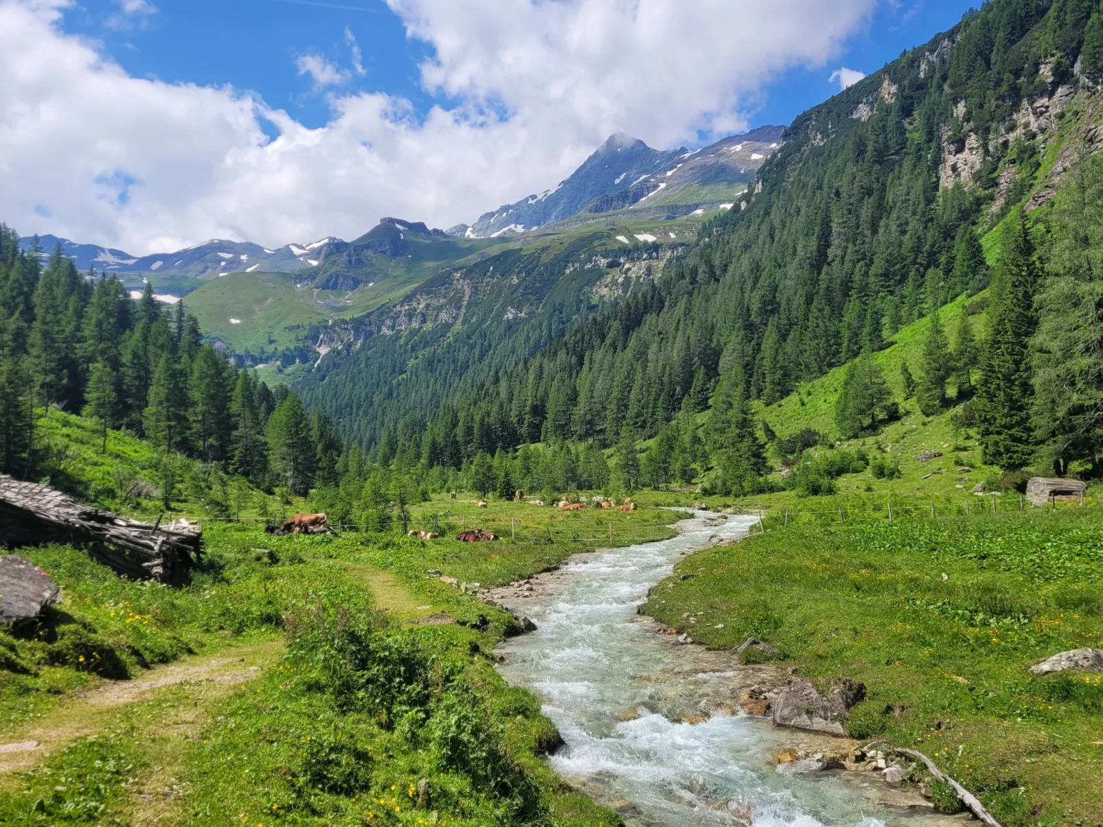 Schönblick - Daniela1 - Buiten