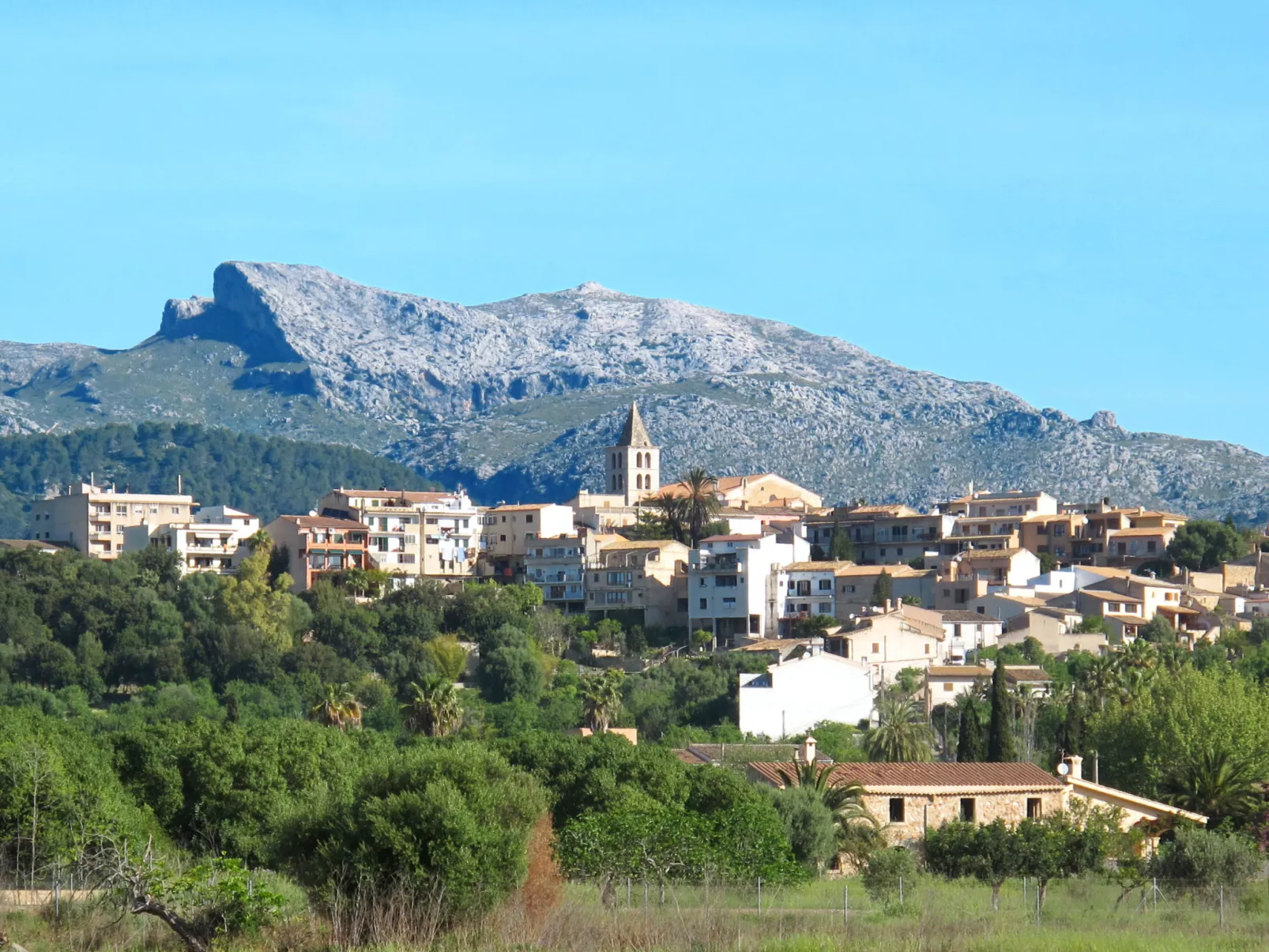 Pla de ses rotes - Omgeving