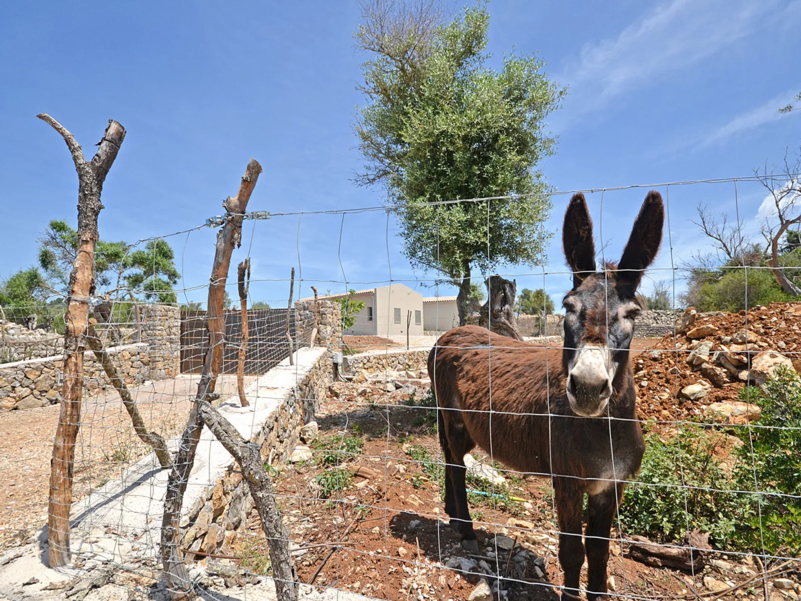 Ses Veyetes - Buiten