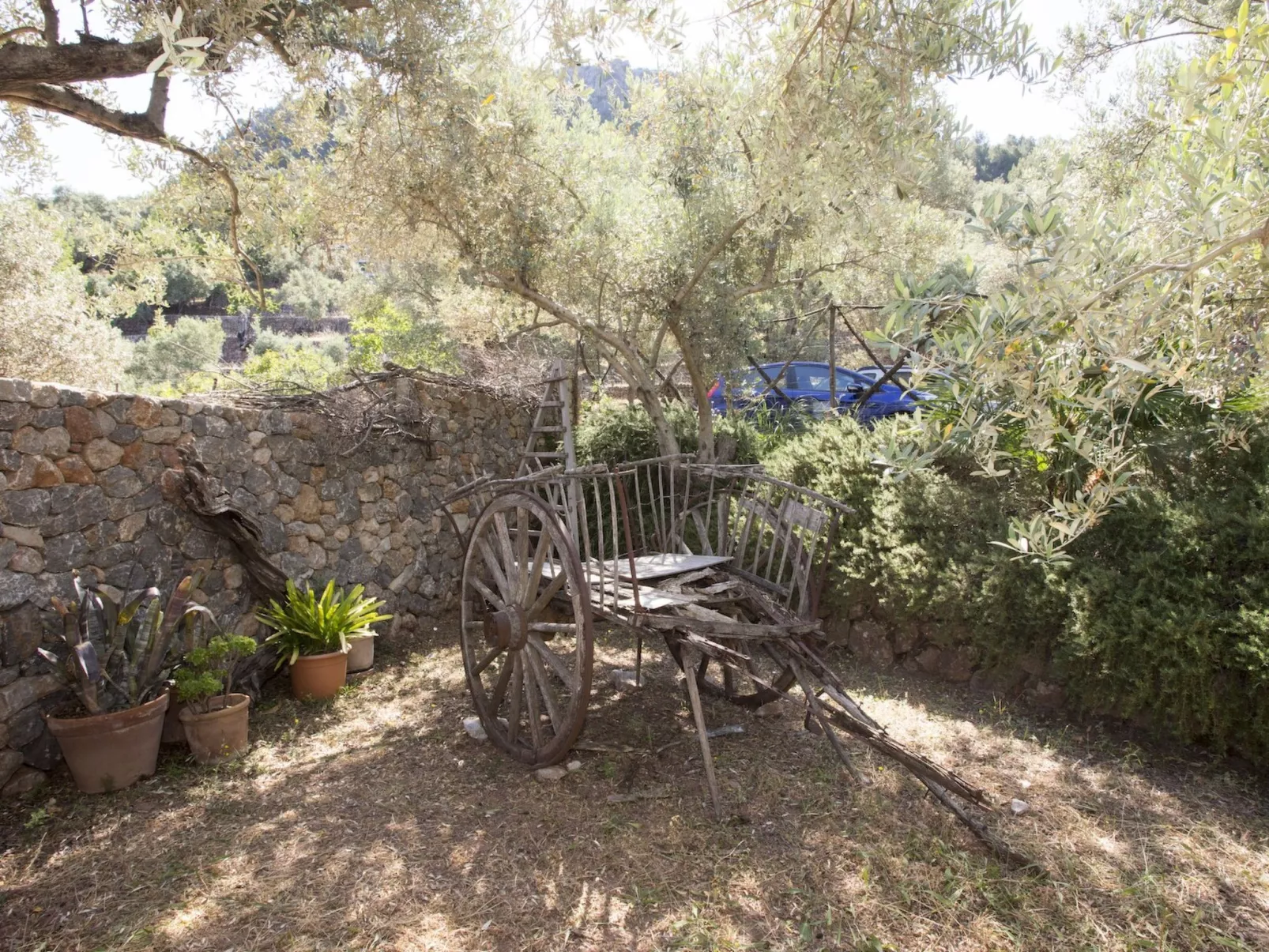 VILLA ES COCO SOLLER - Buiten