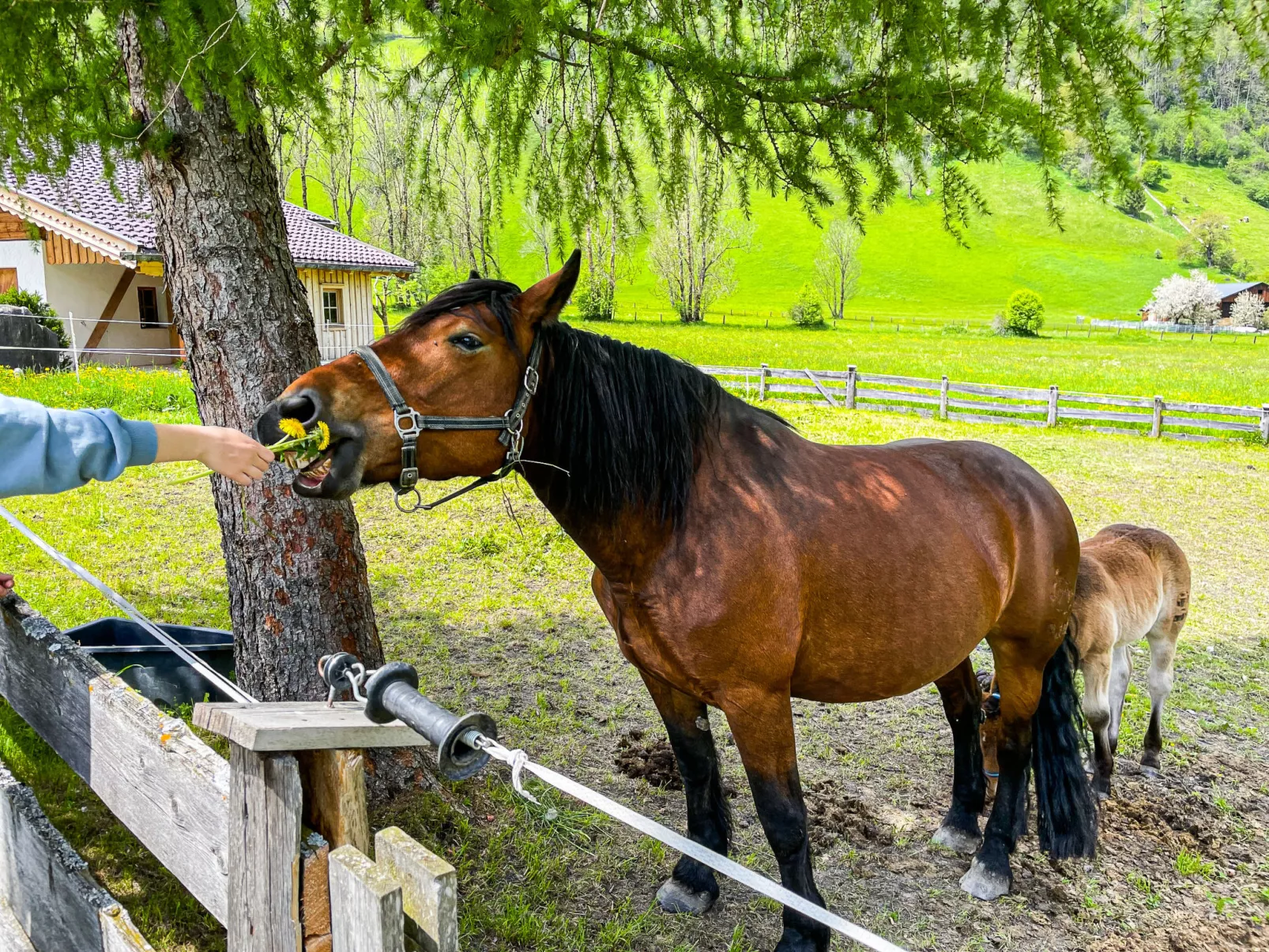 Schönblick - Daniela1 - Image-tags.info