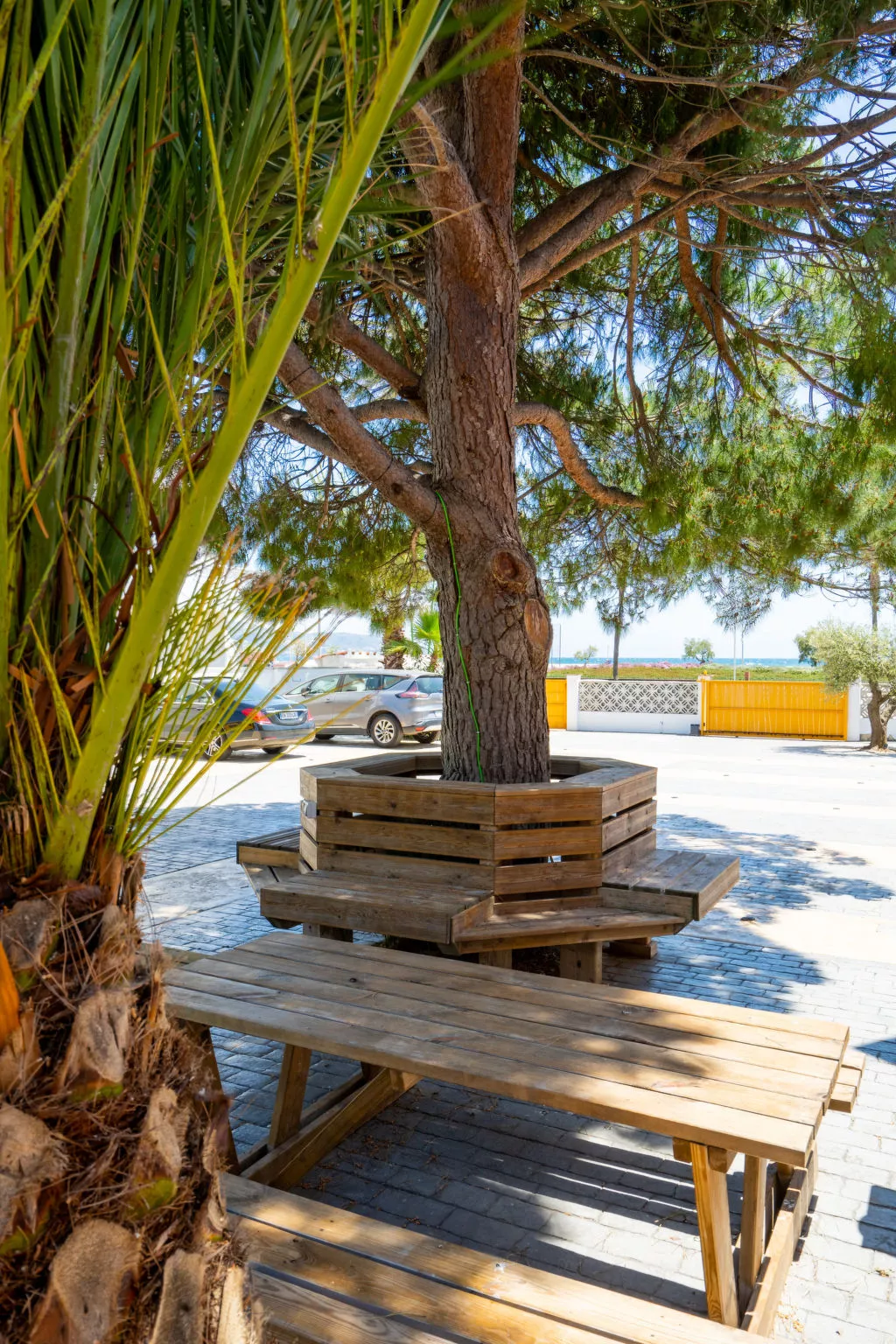 La Vida Sin Limites I EMP - Buiten