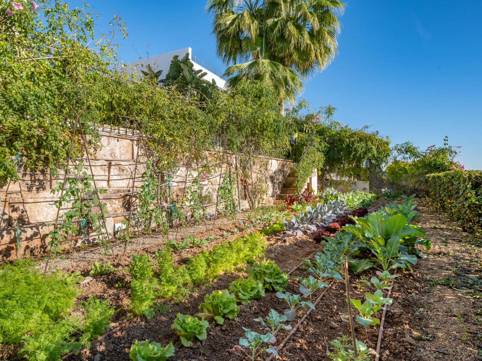 VILLA BENDINAT 10 - by Priority Villas - Buiten