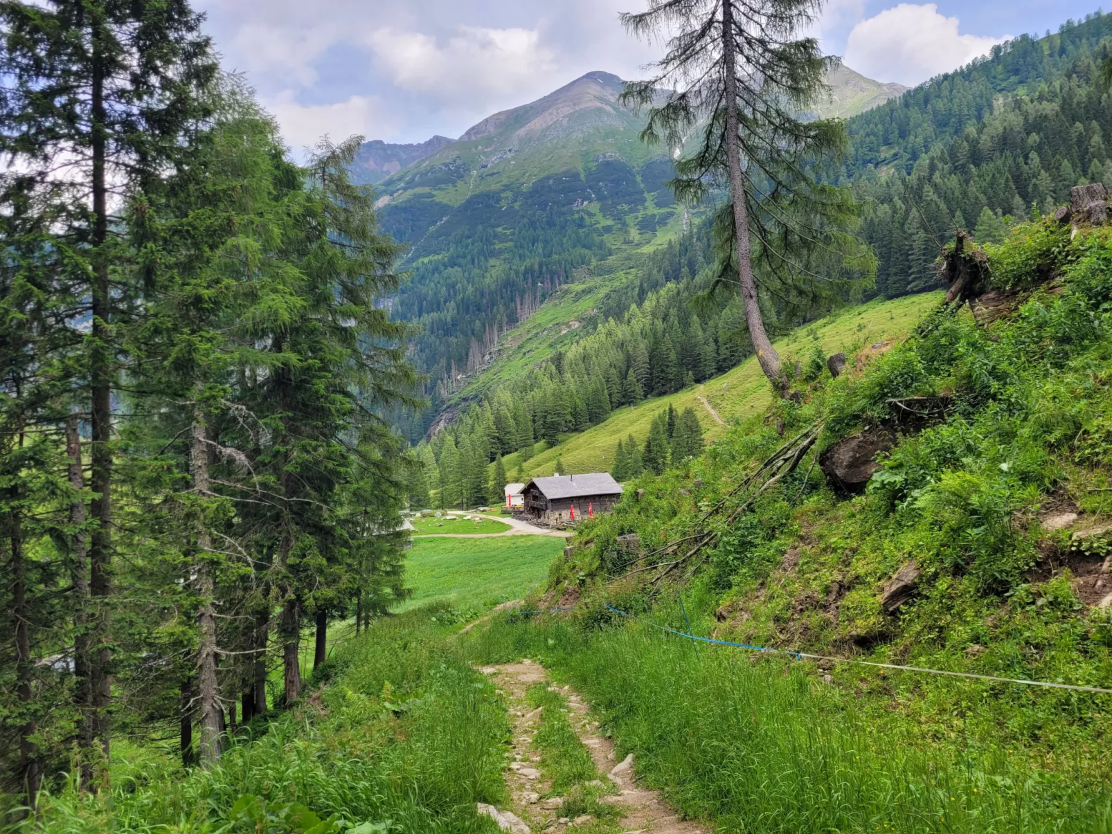 Schönblick - Daniela1 - Buiten