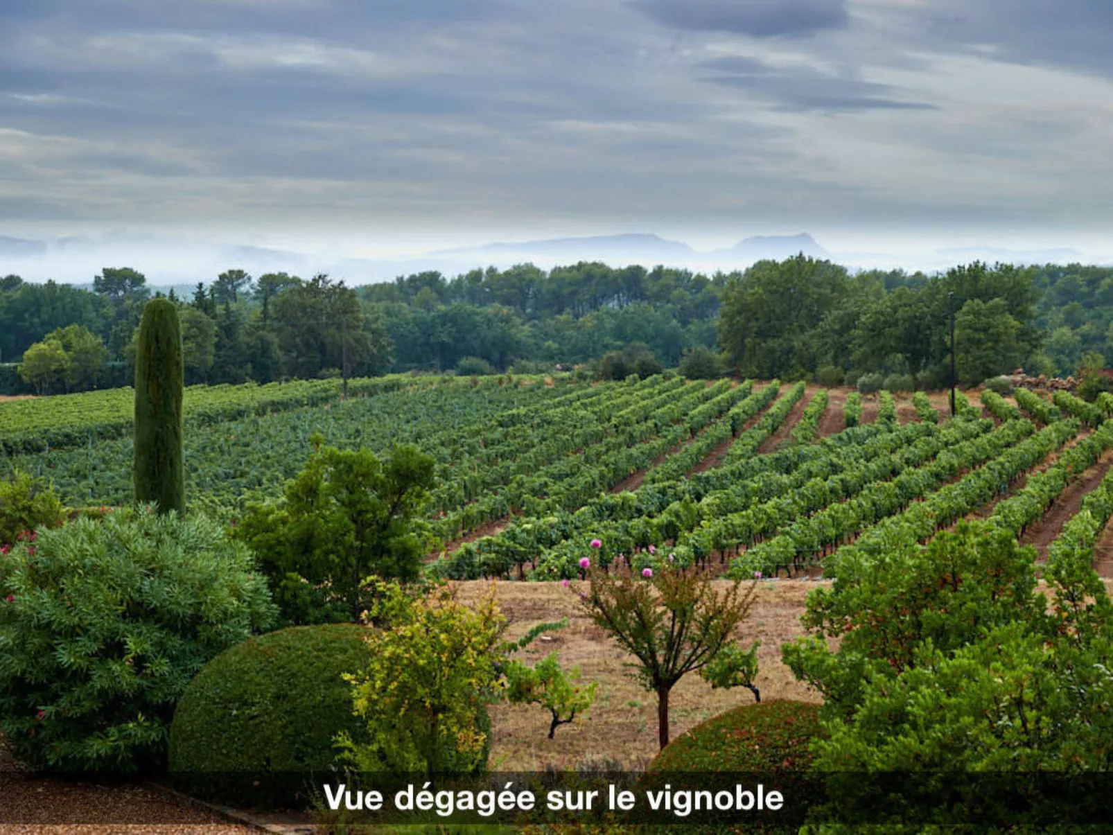 LA VOLIERE - Buiten