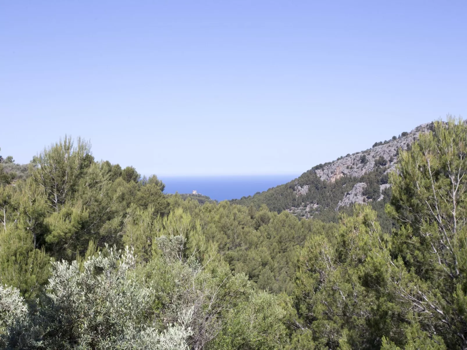 VILLA ES COCO SOLLER - Buiten