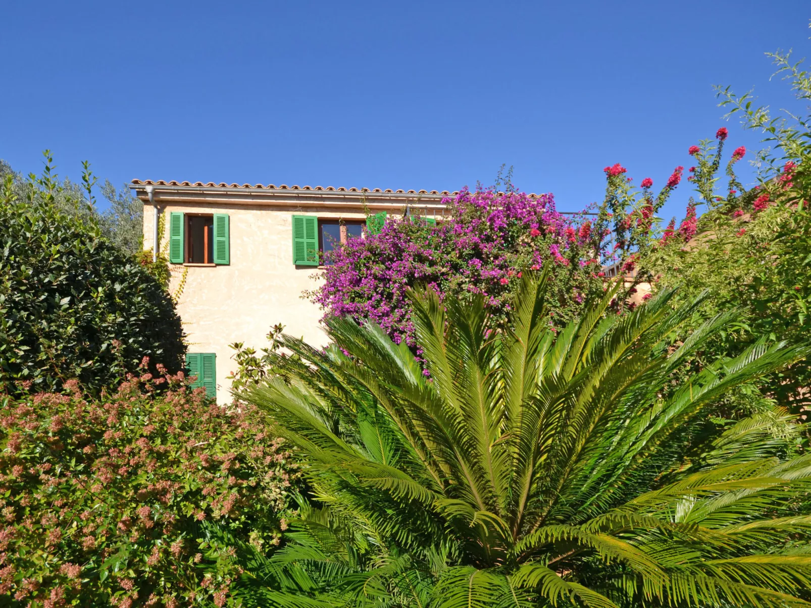 Can Casta (Sonrisa 12) - Buiten