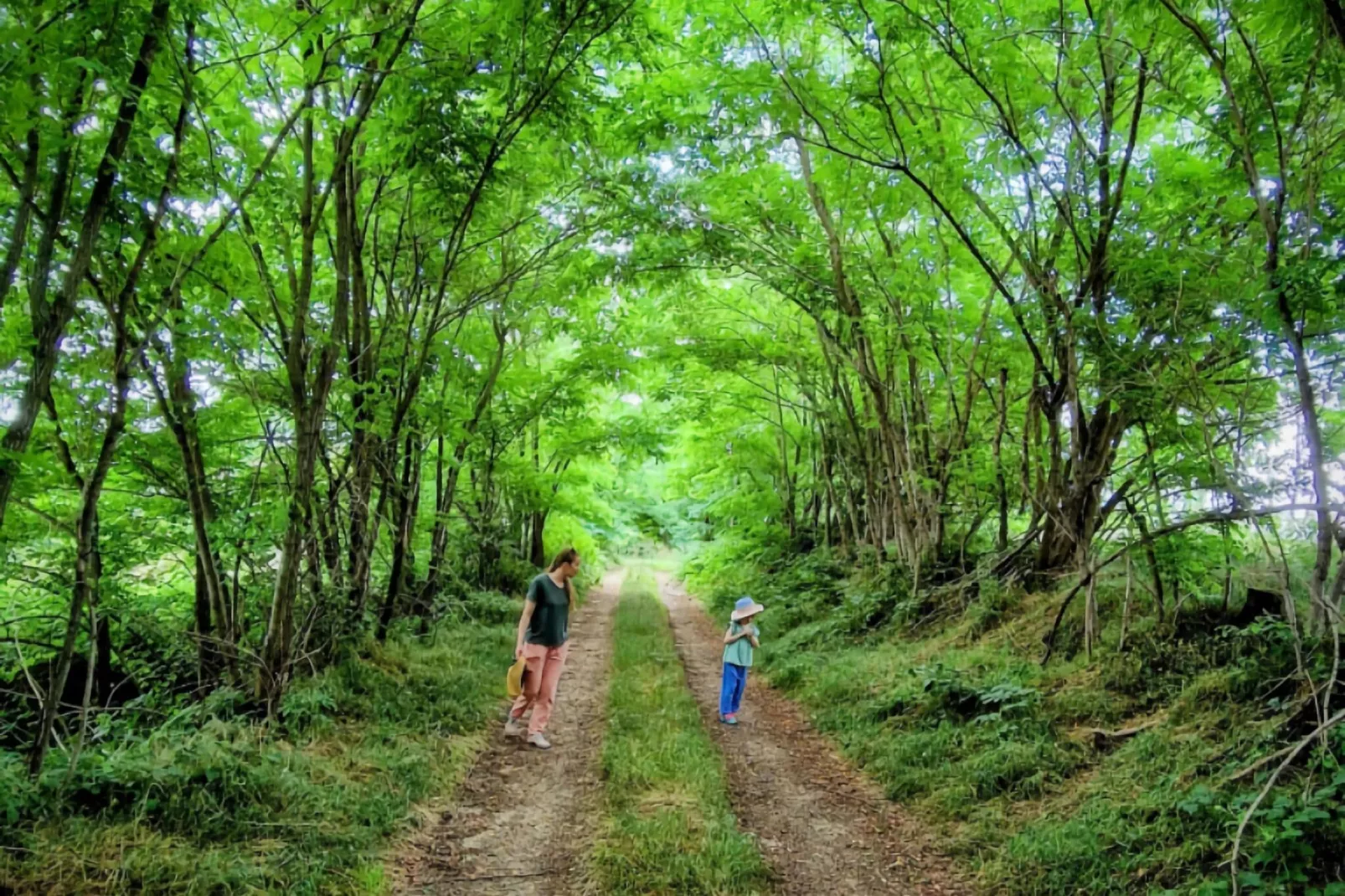 Gite Bourgogne rust & natuur-Gebieden zomer 5km