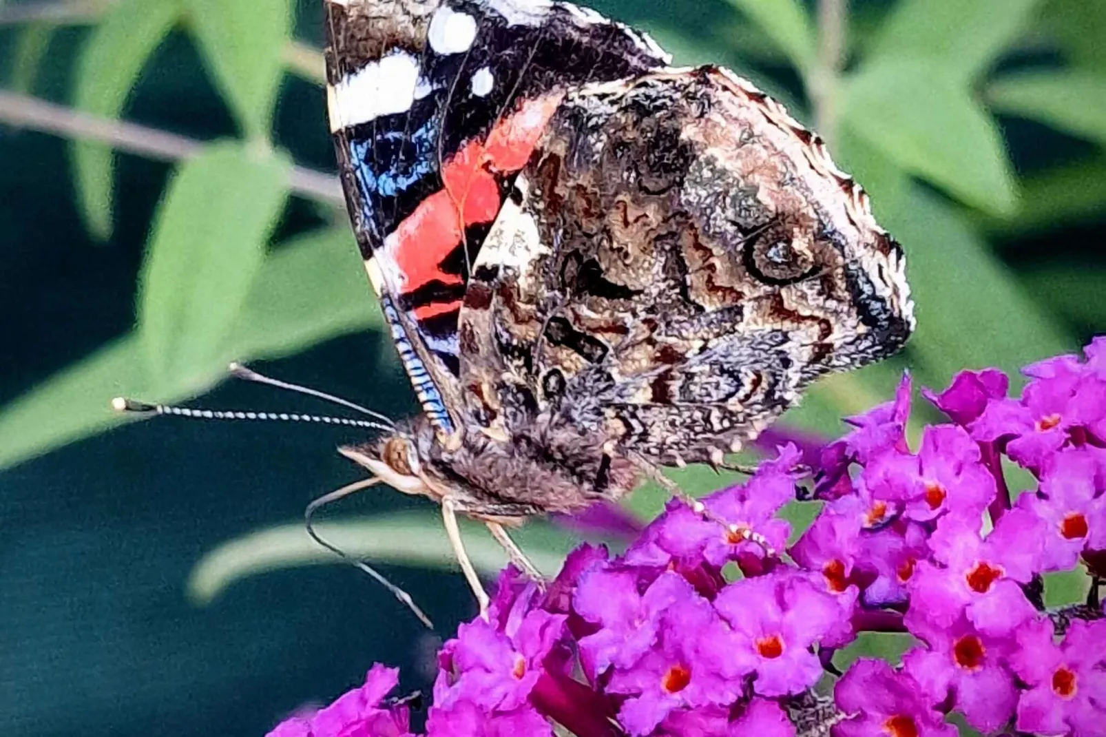 Gite Bourgogne rust & natuur-Sfeer