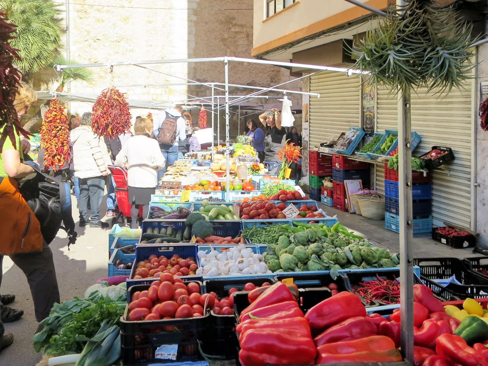 Bennassar - Omgeving