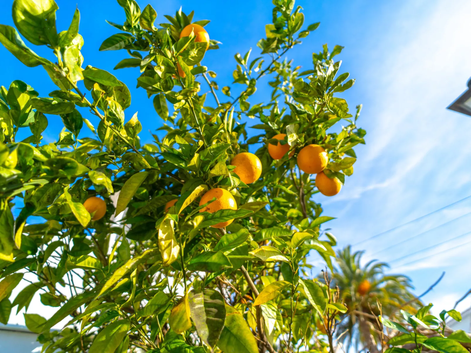 Villa Grande Luxe Private Pool by Casasol - Buiten