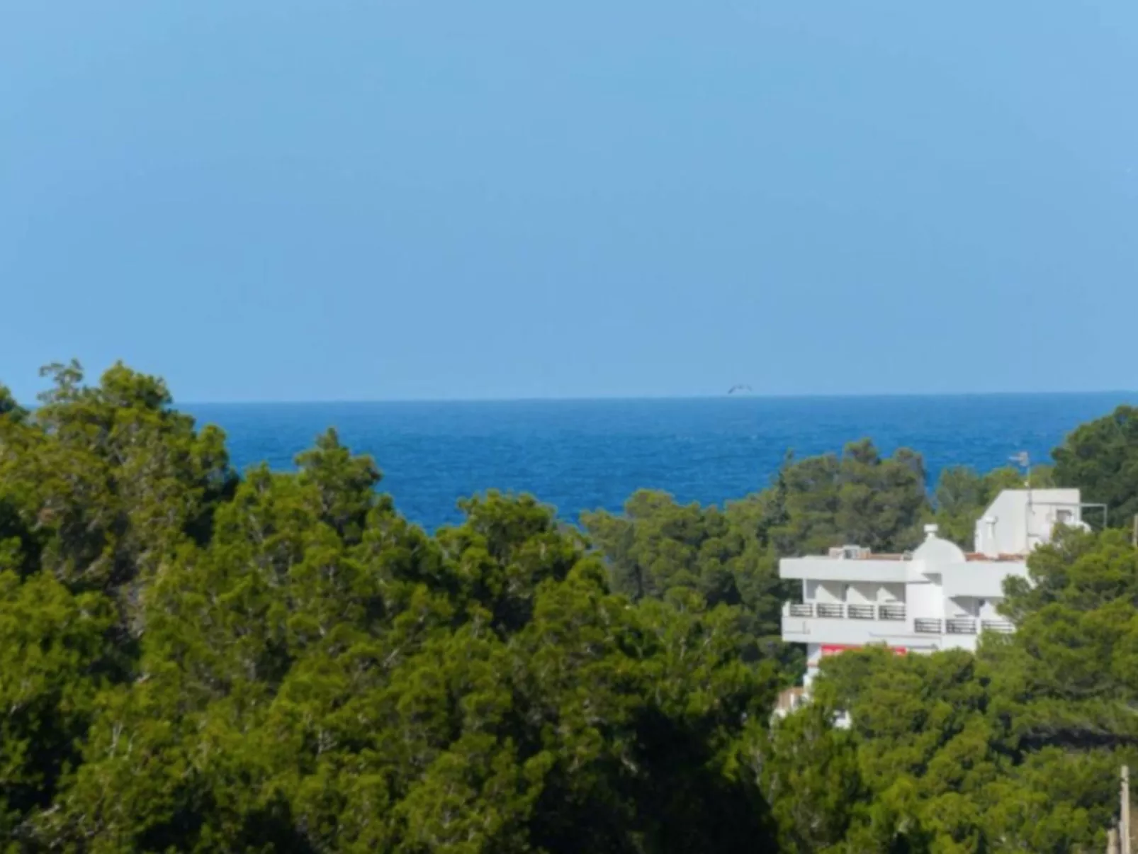 VILLA CAS PUIG - Buiten