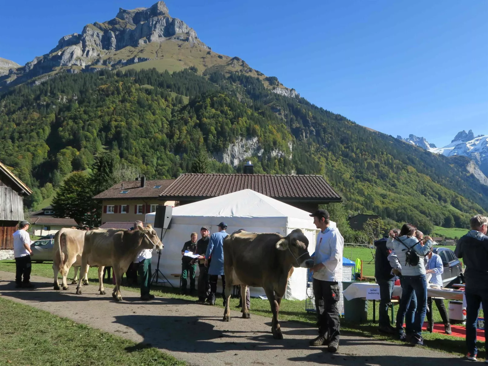 Chalet Heureka-Horbis - Binnen