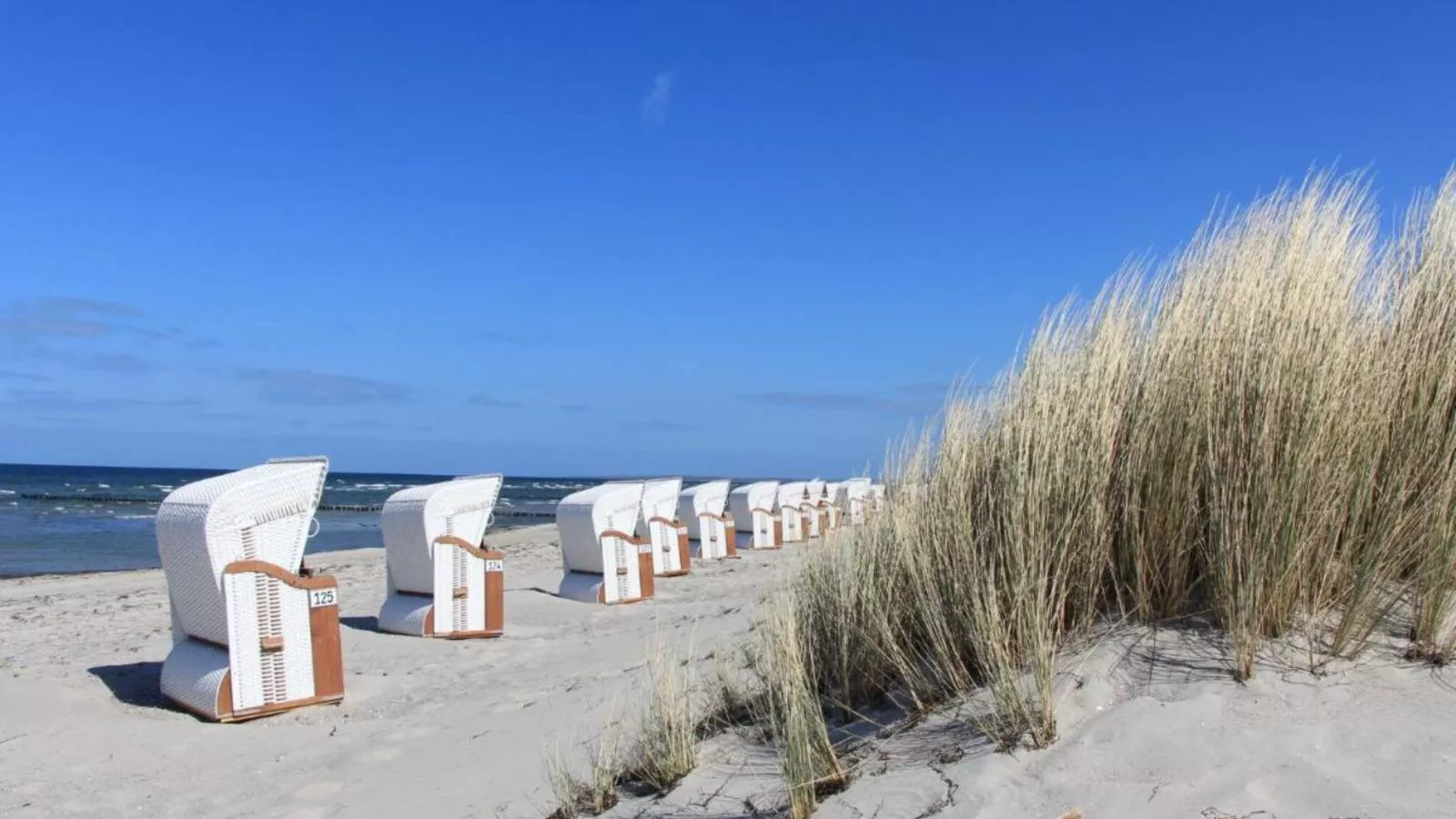 Nordlicht - Strandkorb EG