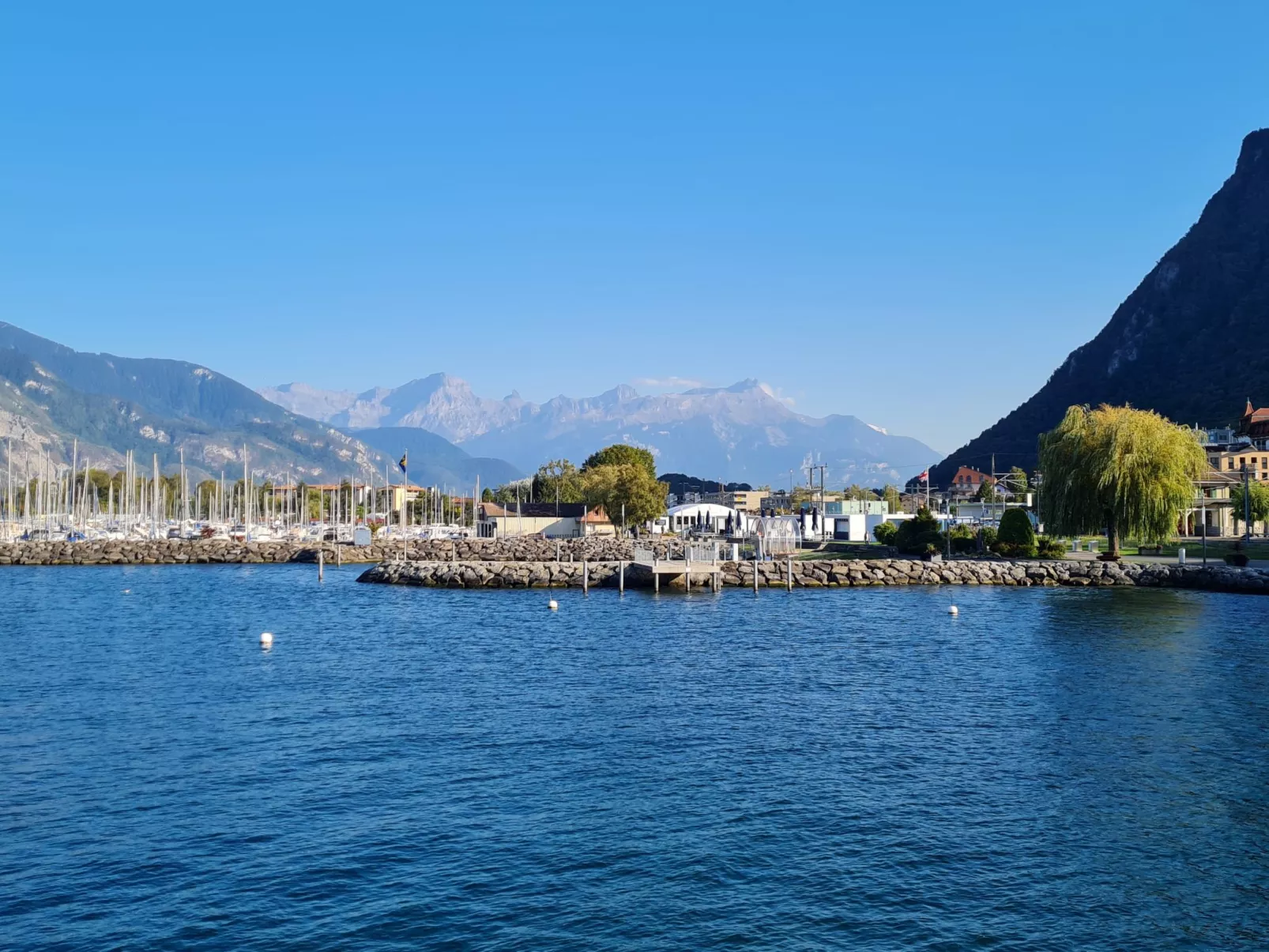 La Maison des Palmiers
