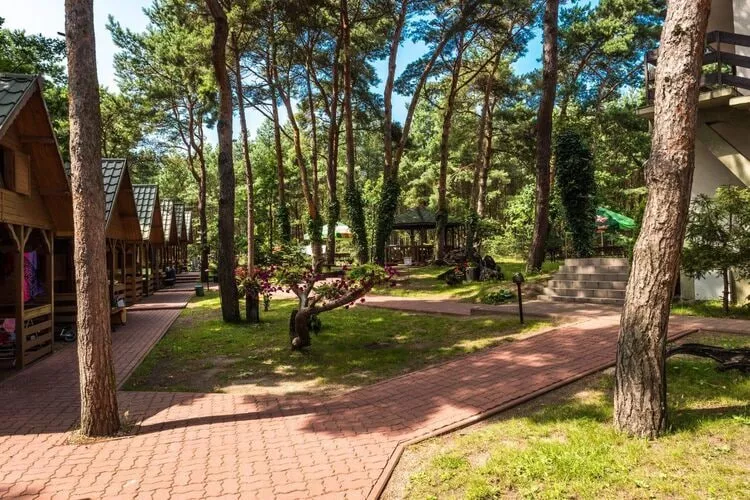 Domki wakacyjne Łazy-Tuinen zomer