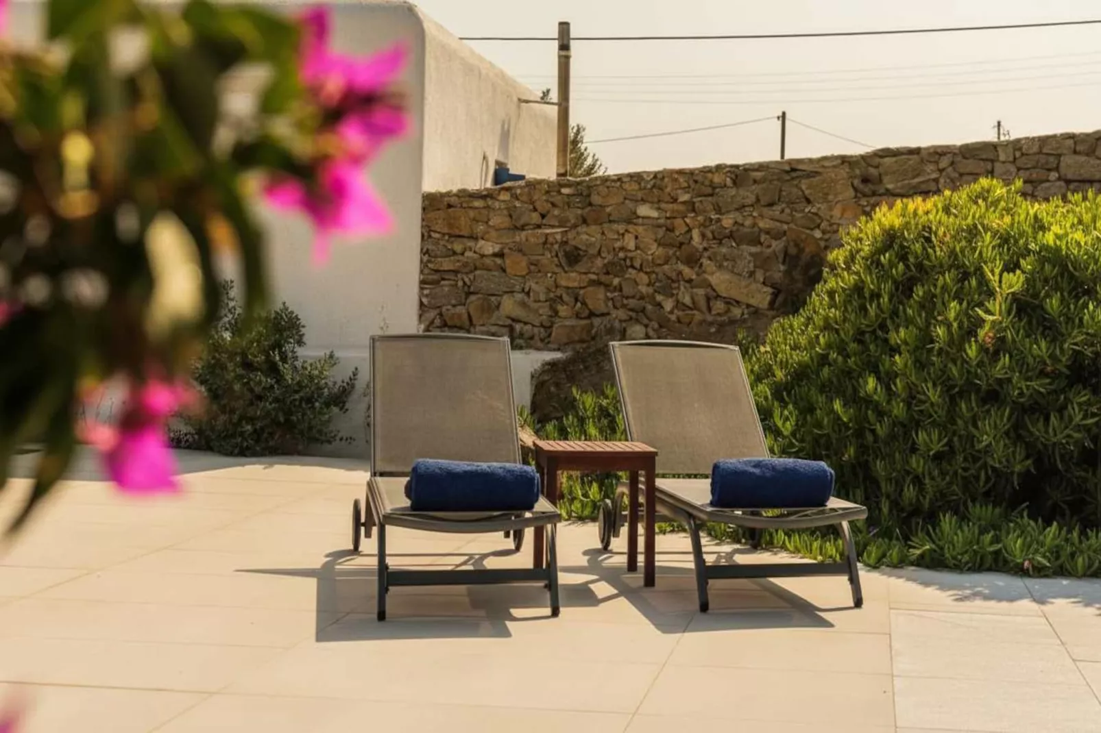 Ortus_Ivory_vacay - Faciliteiten