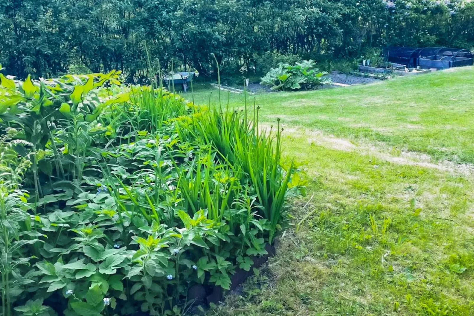 4 sterren vakantie huis in KÄRNA - Buitenlucht