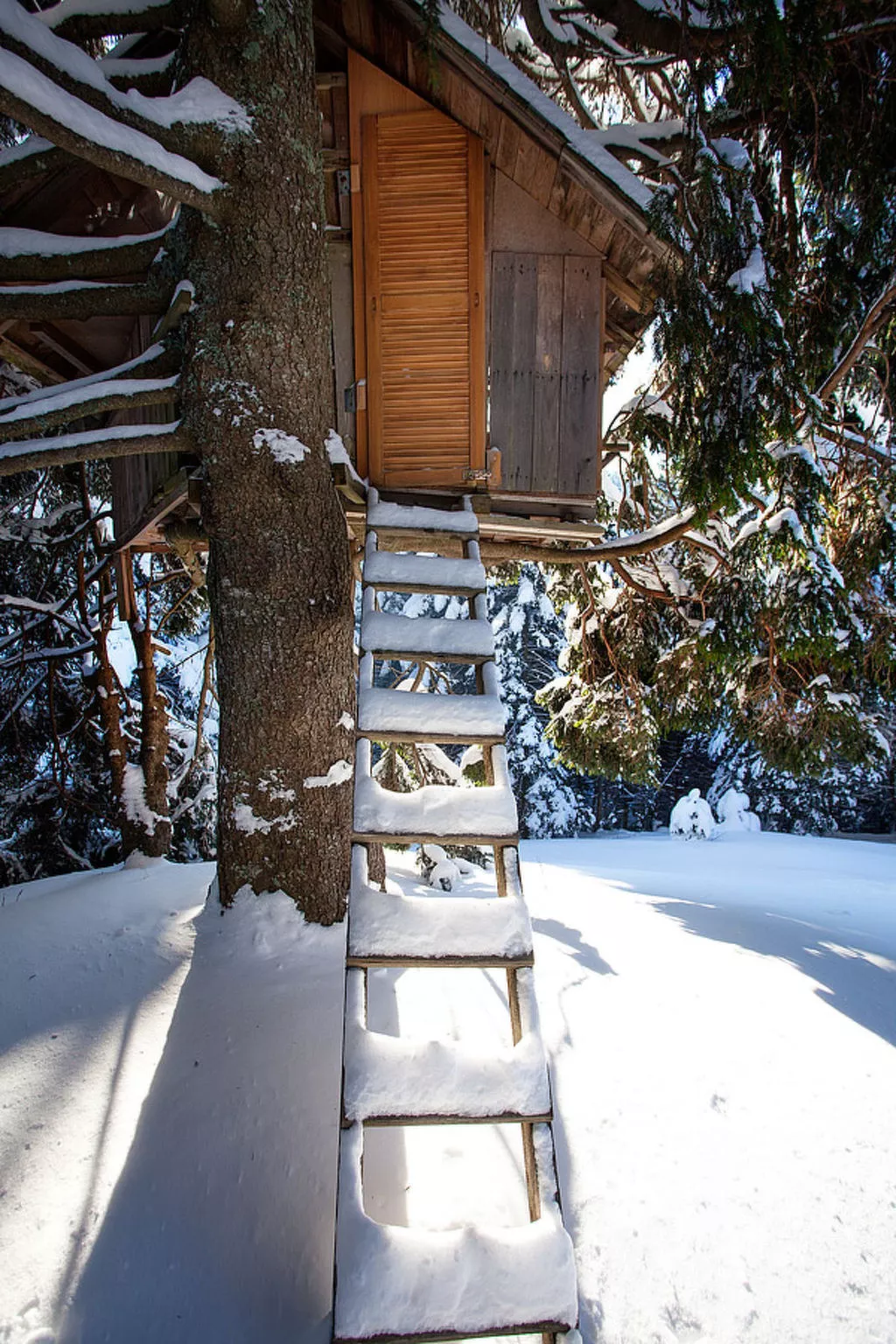 Chalet Alpinka-Buiten