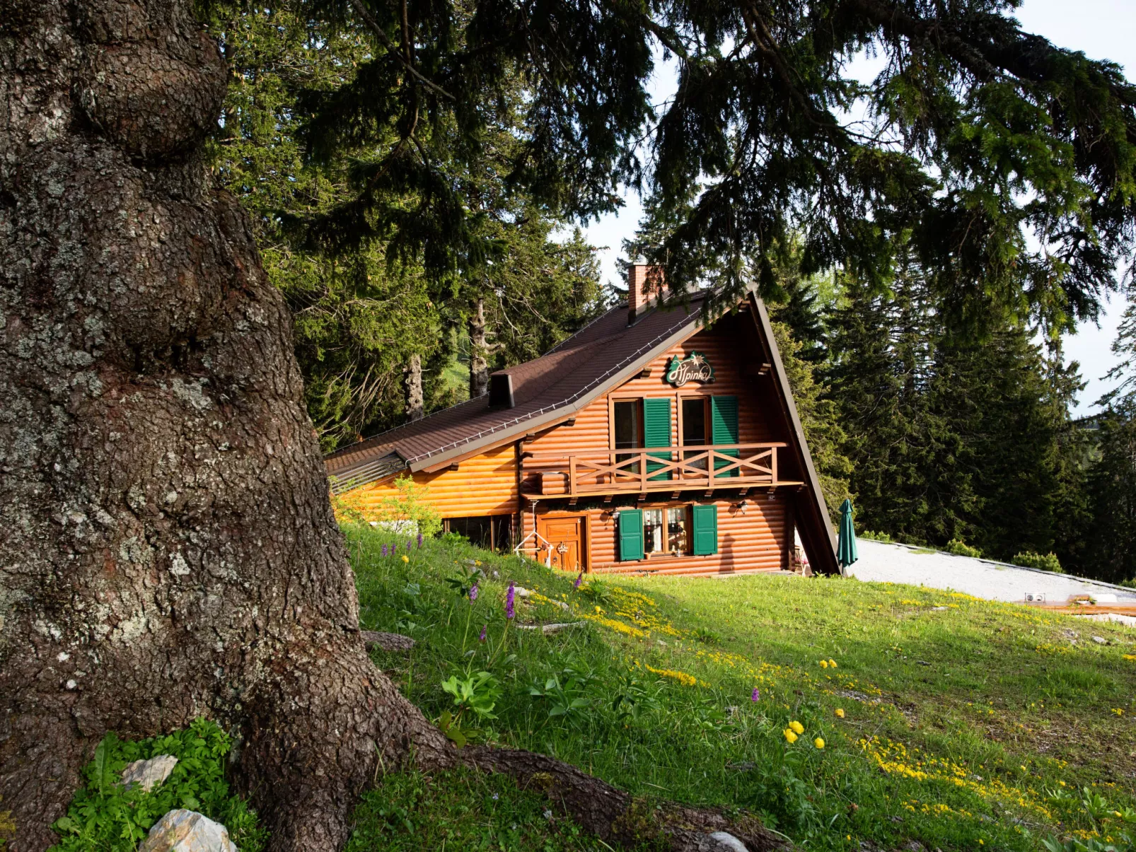 Chalet Alpinka-Buiten