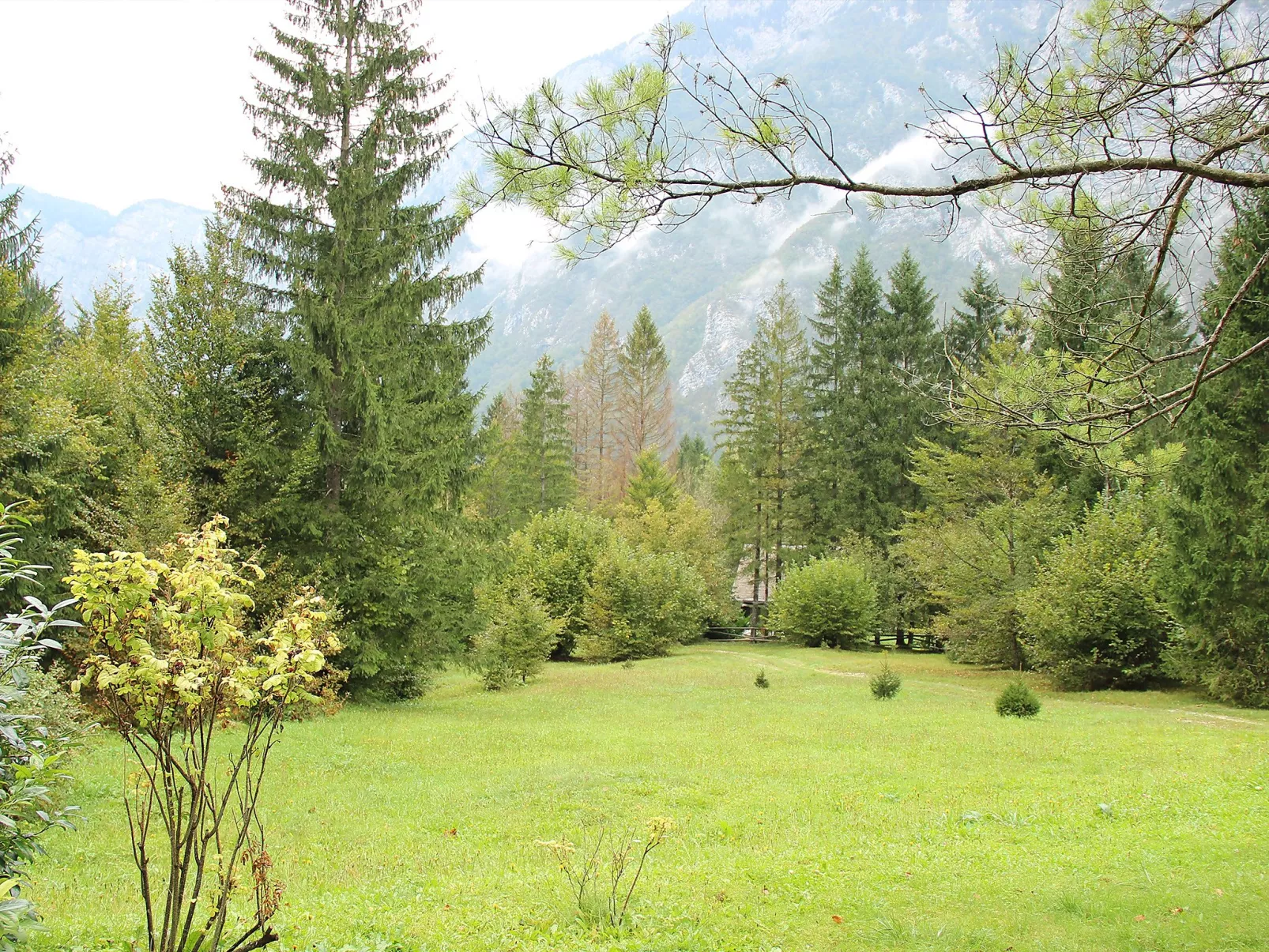 Savica-Buiten