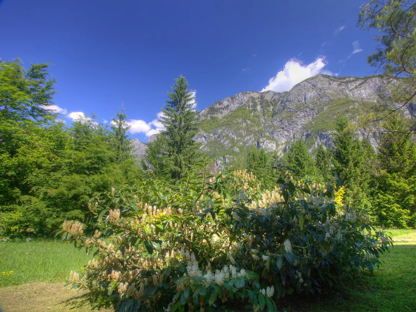 Savica-Buiten