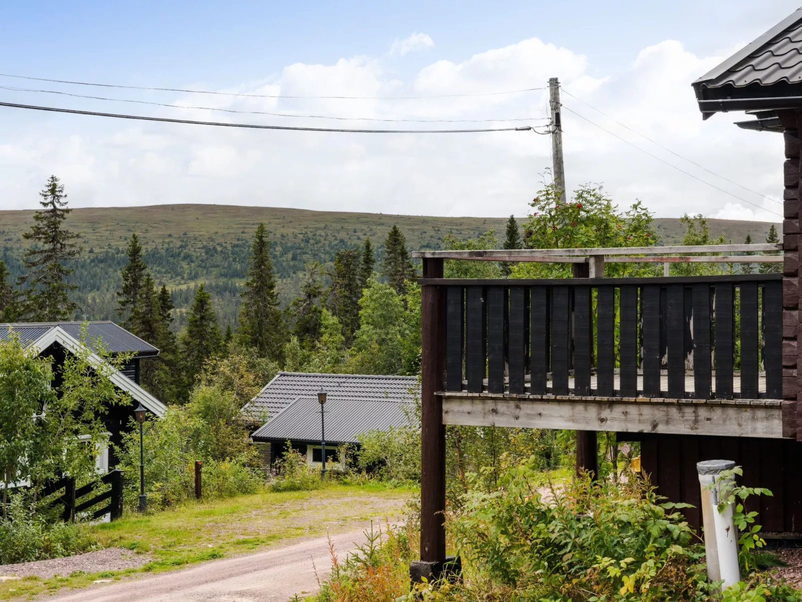 Korpstigen Renen