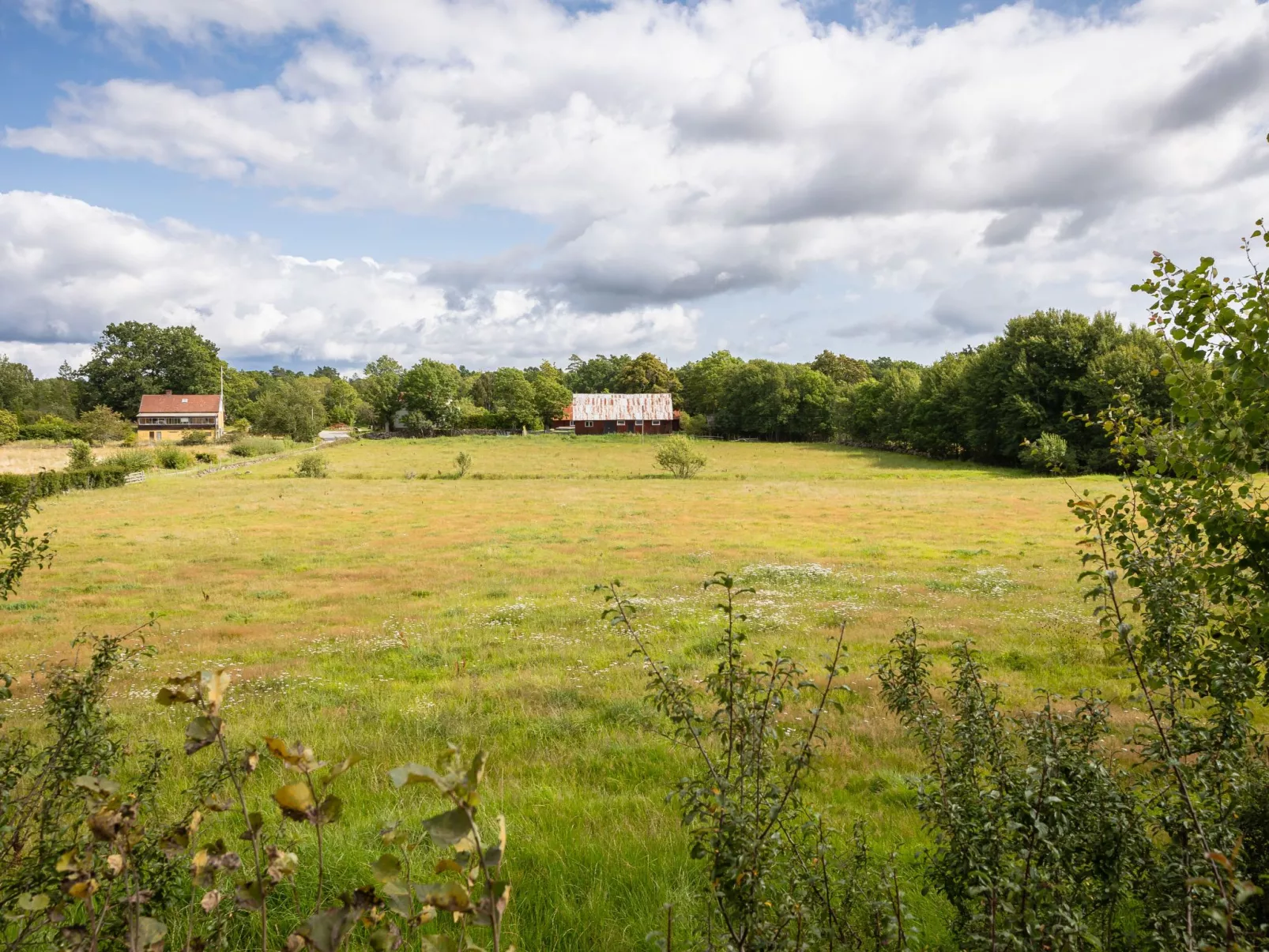 Arvidstorp-Buiten
