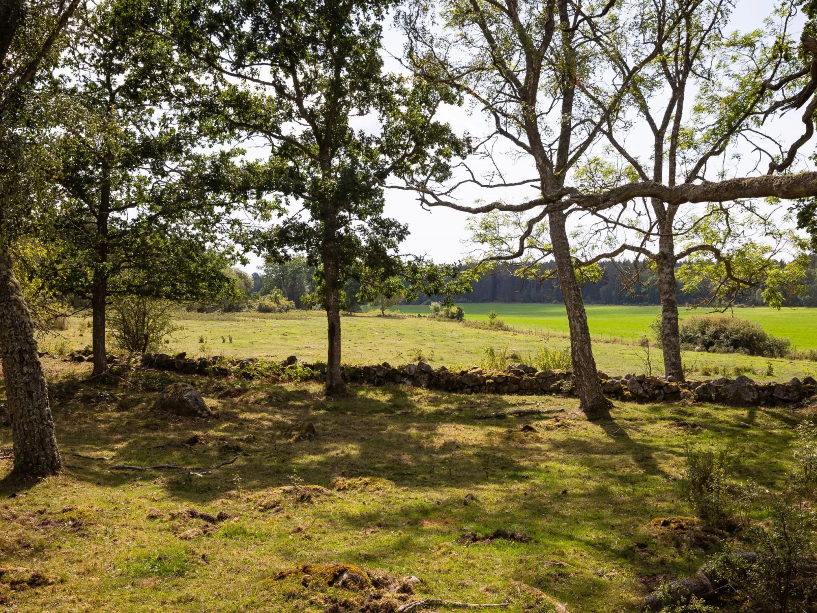 Arvidstorp-Buiten