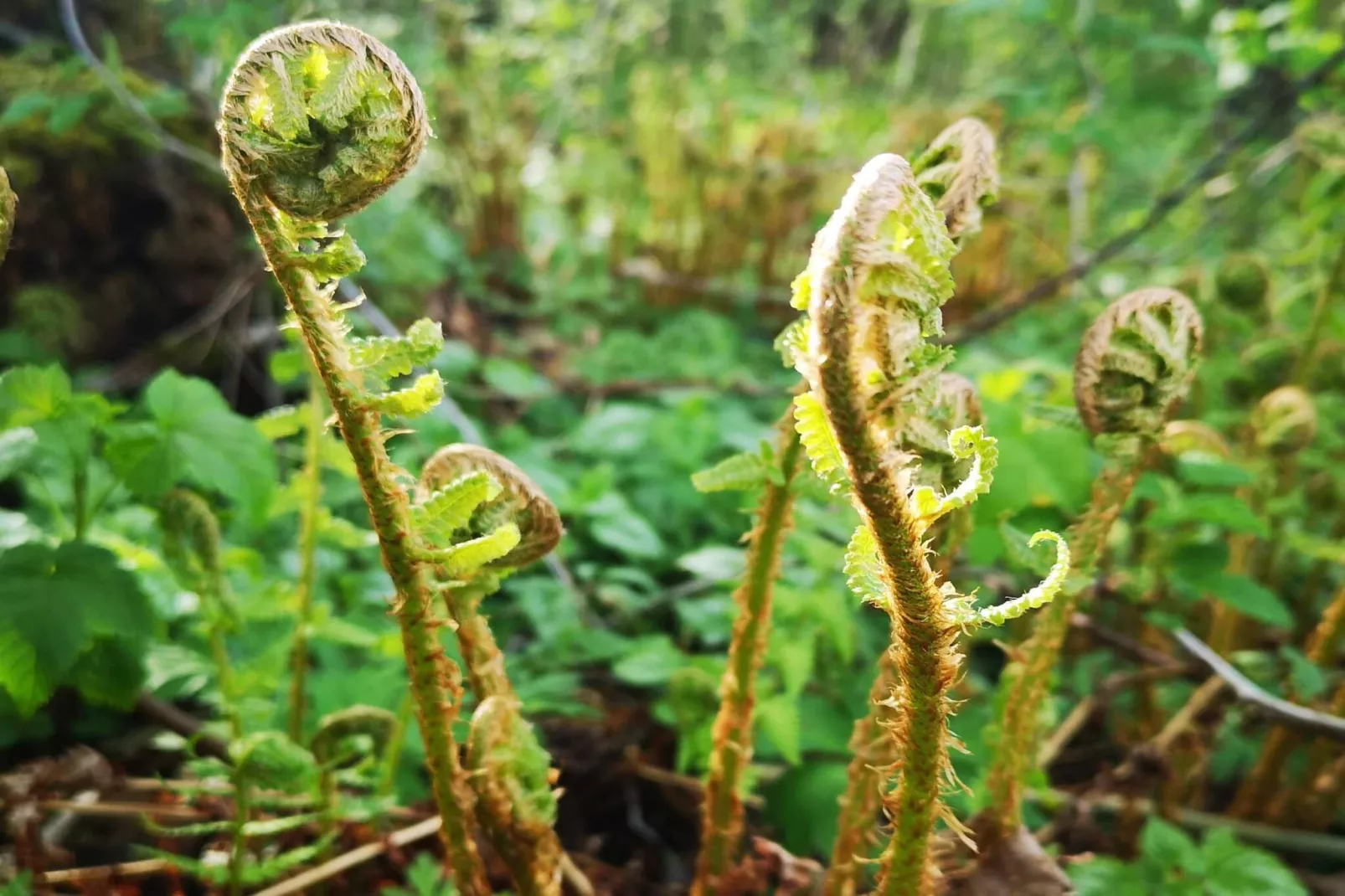 4 sterren vakantie huis in Trollhättan - Buitenlucht