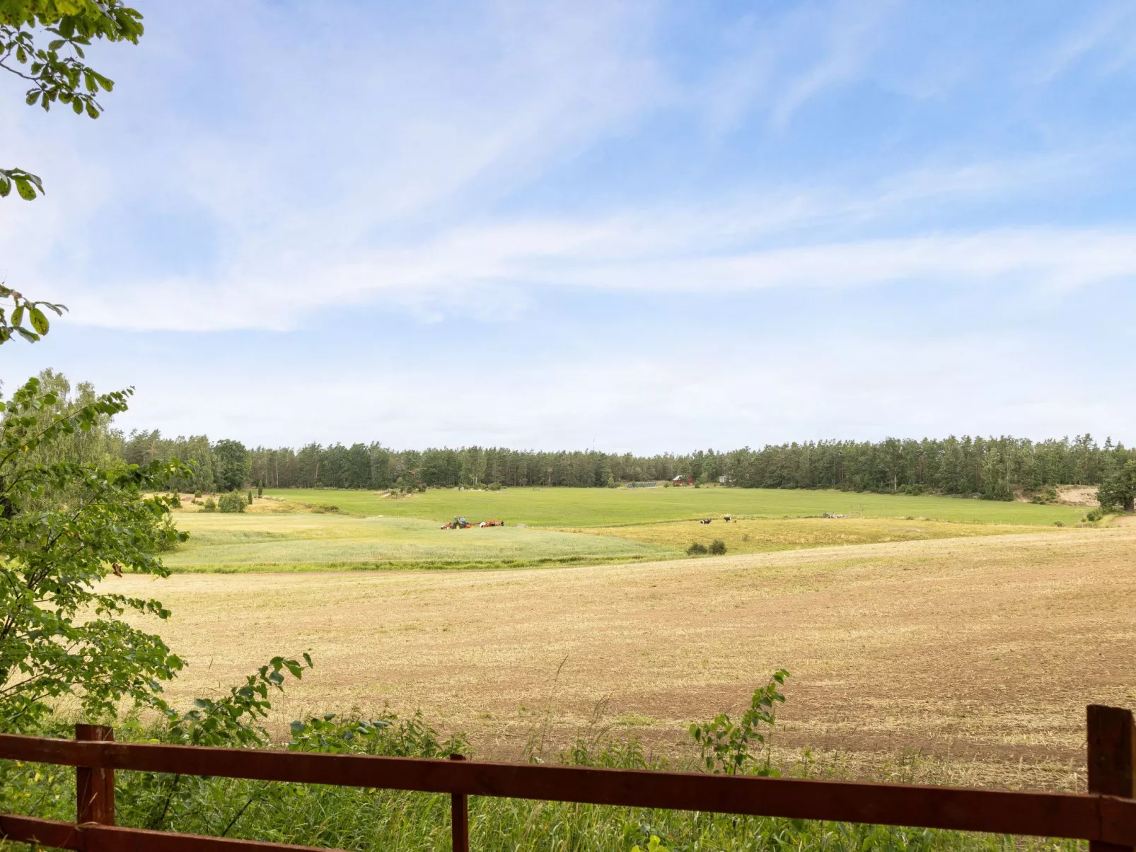 Skogstorpet-Buiten