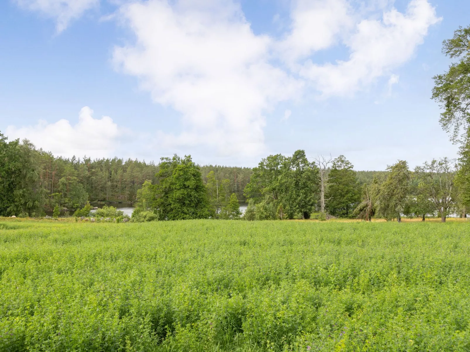 Skogstorpet-Buiten