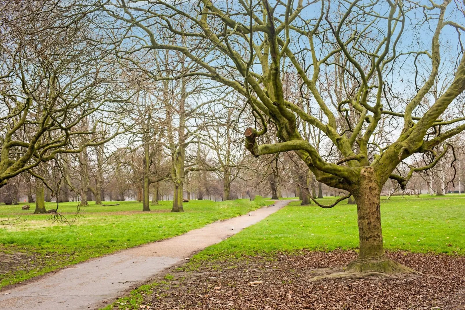 Standard Single Room - Tuinen zomer