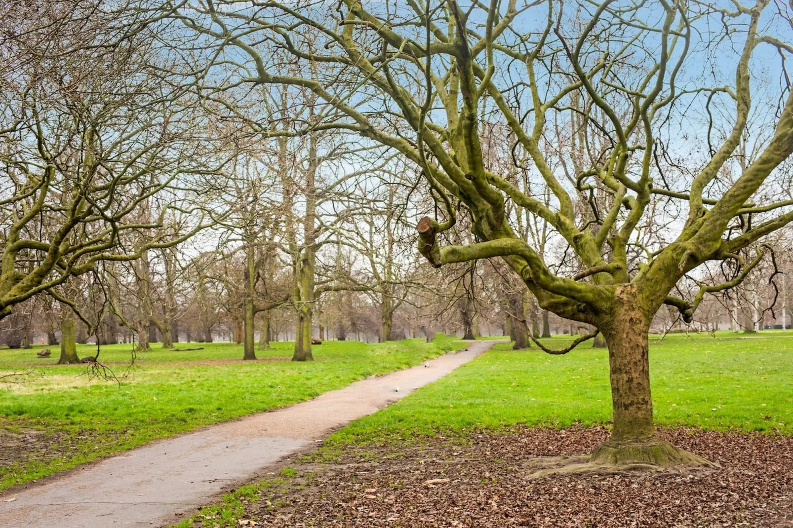 Deluxe Twin Room - Tuinen zomer