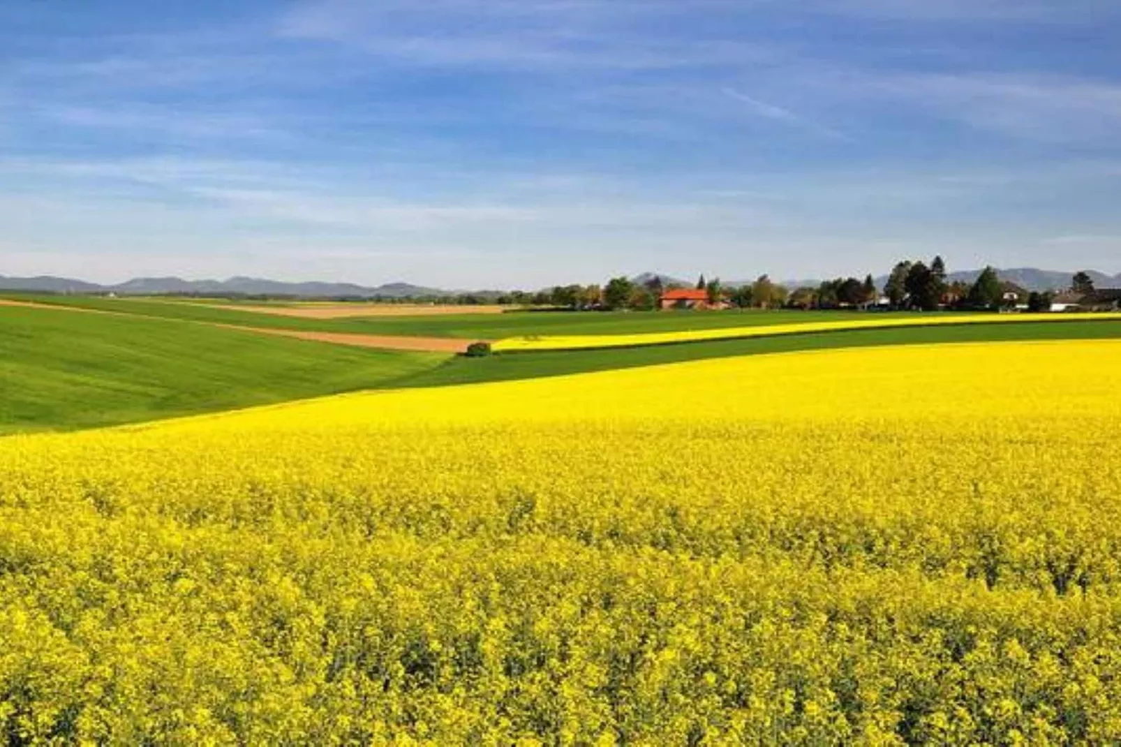 4 Personen vakantie huis in YNGSJÖ - Niet-getagd