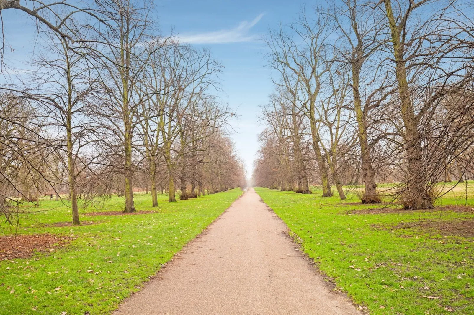 Standard Triple Room - Tuinen zomer