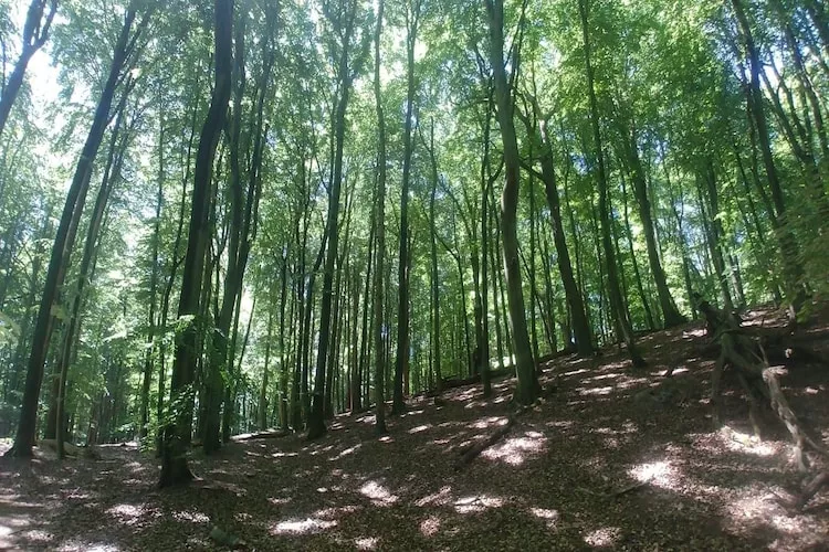 Apartament Wisełka  Lew 1 parter - Gebieden zomer 1km