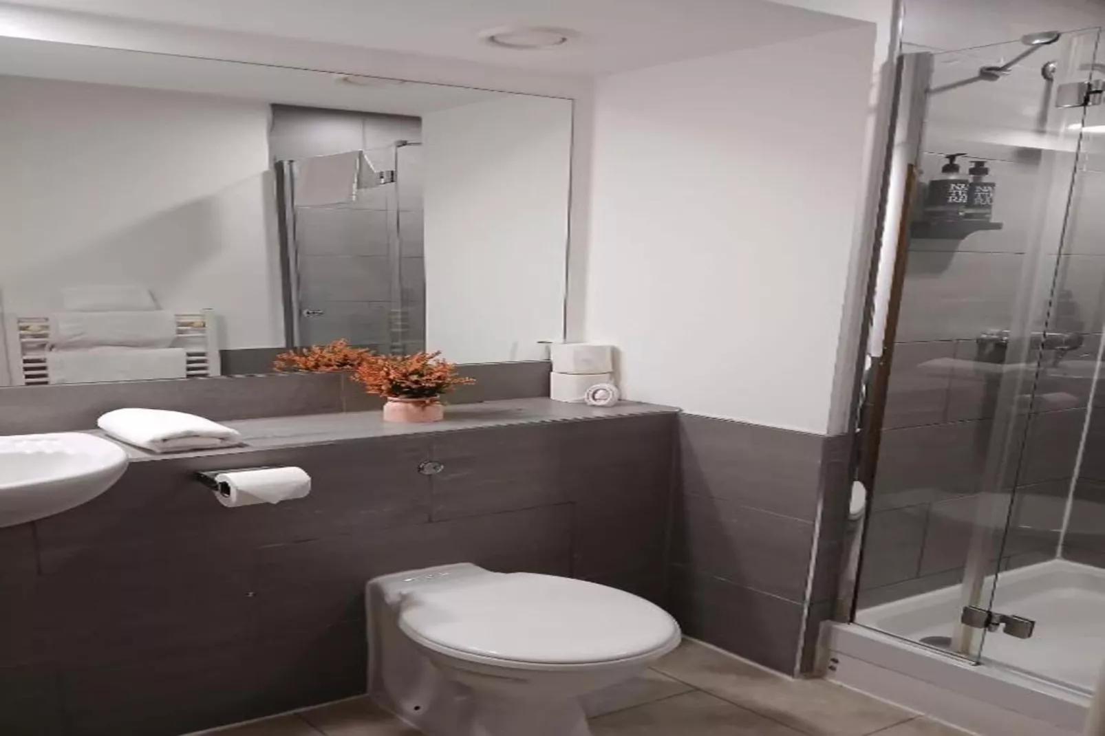 Standard Twin Room - Badkamer