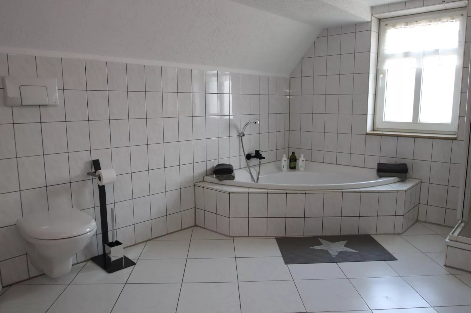 DG Ferienwohnung Elbingerode am Brocken - Badkamer
