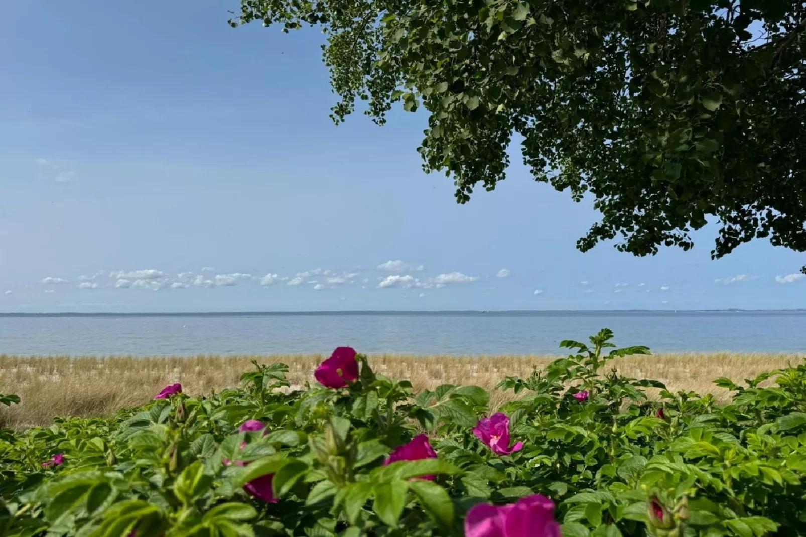 Doppelhaushälfte rechts - Gebieden zomer 1km