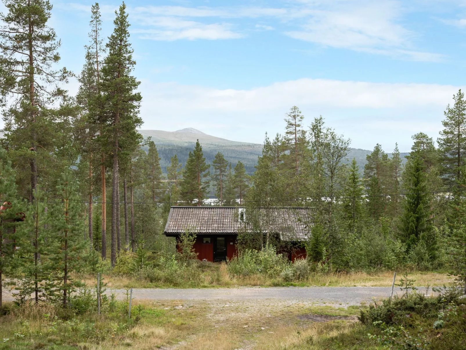 Lofsdalen Furan-Buiten