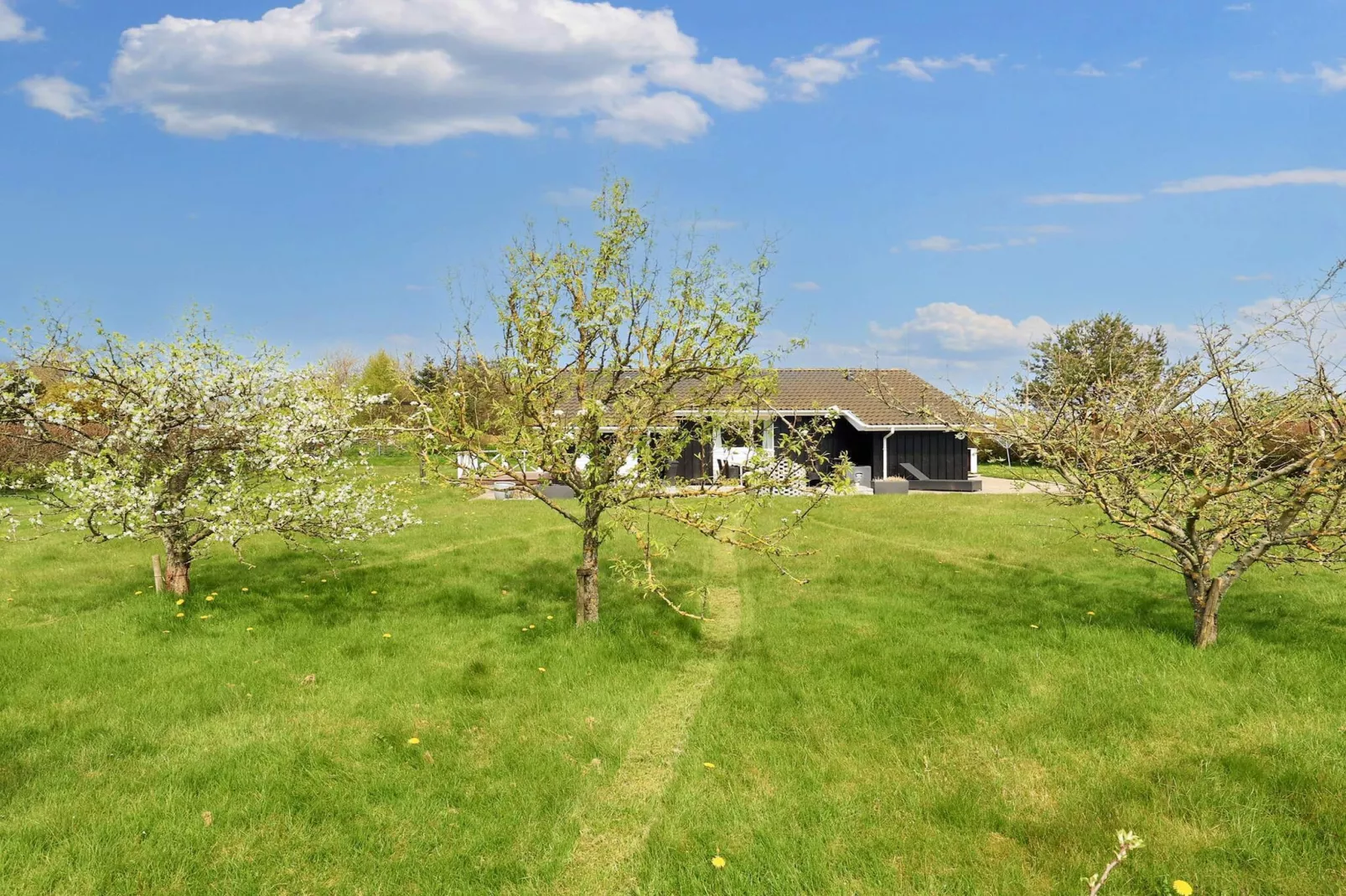 6 persoons vakantie huis in Hadsund-By Traum - Uitzicht