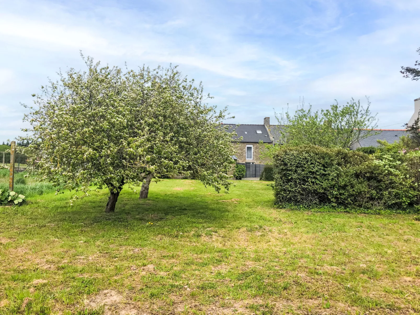 La Maison de Léa - Buiten