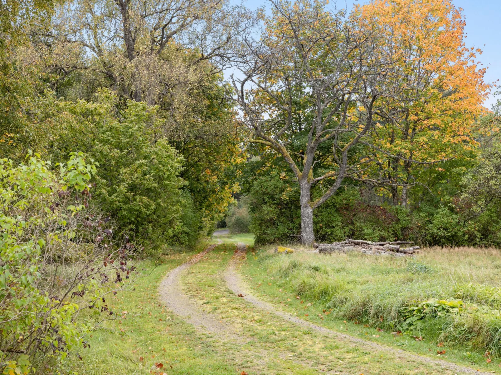 Älmegården (SND127)-Buiten