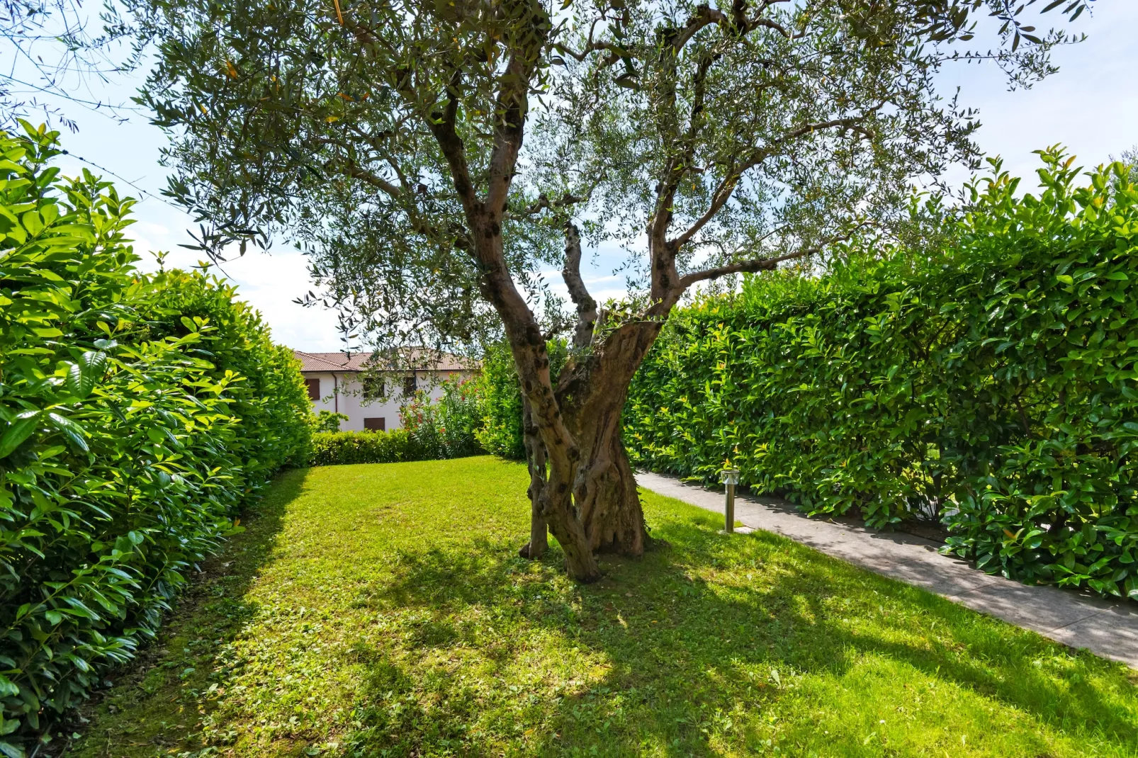 Bardolino Trentanove - Tuinen zomer