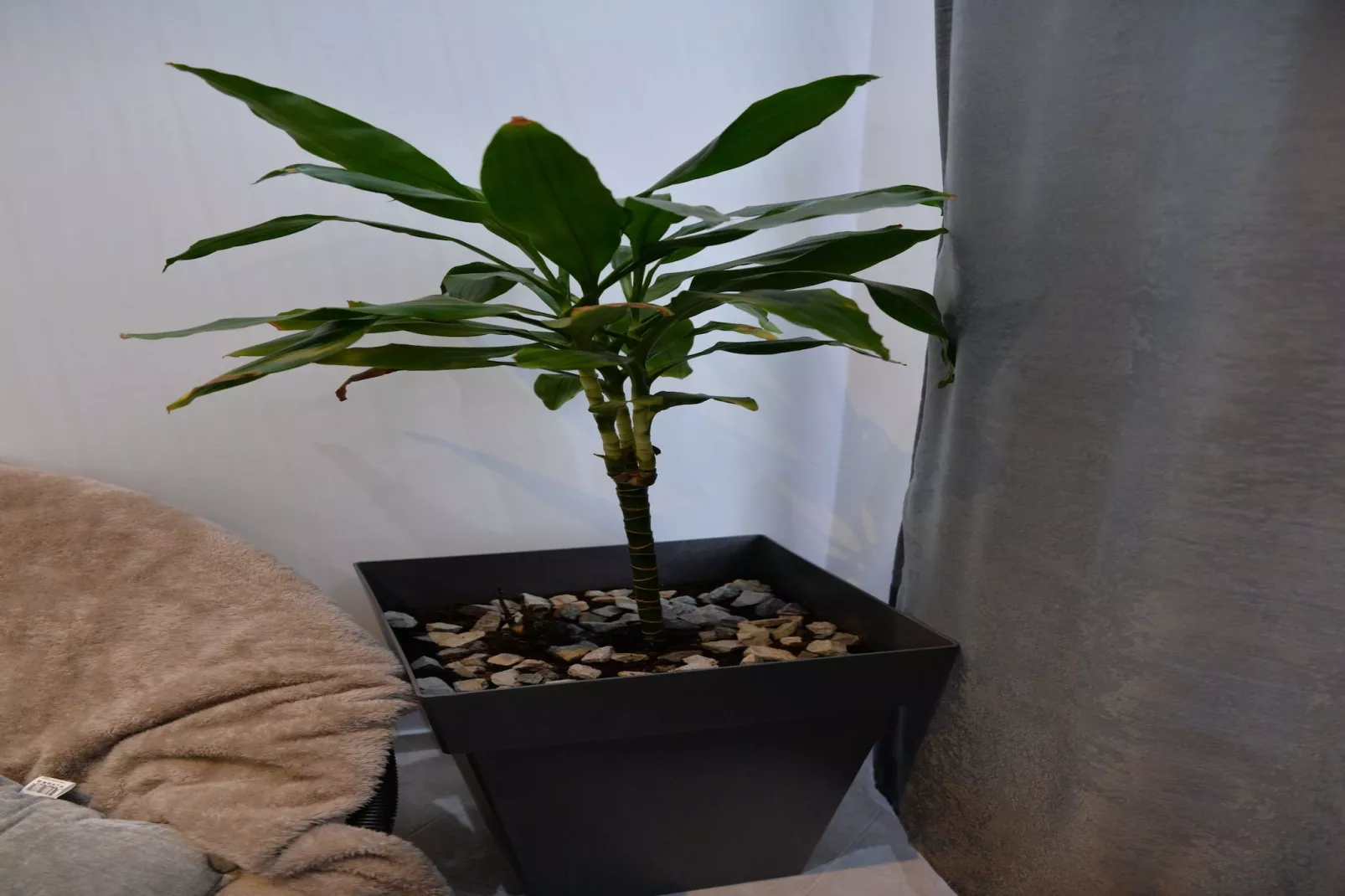 Room Marsonia - Double Room - Binnen